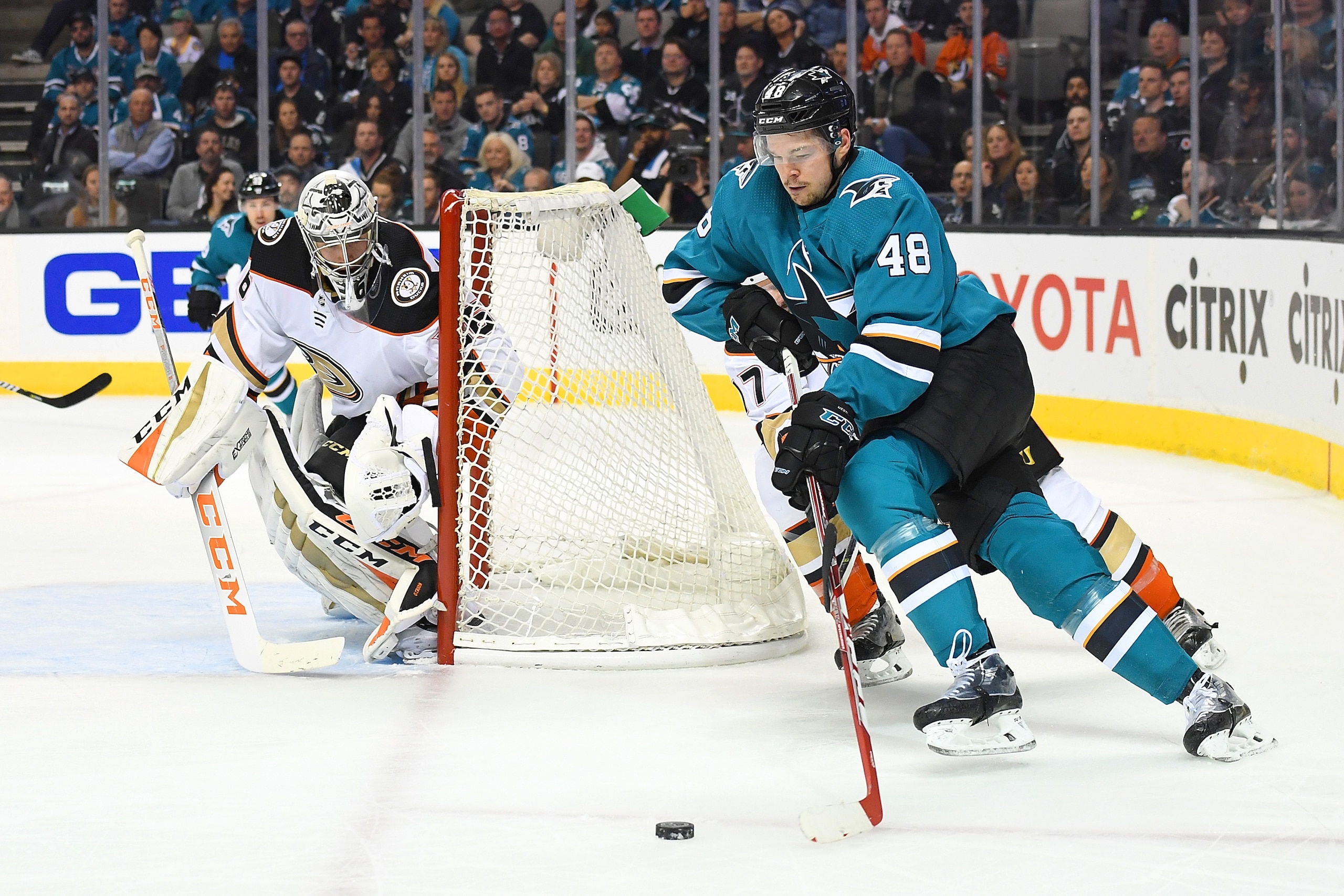SAN JOSE, CA - APRIL 18: Tomas Hertl #48 of the San Jose Sharks skates with control of the puck against the Anaheim Ducks during the second period in Game Four of the Western Conference First Round during the 2018 NHL Stanley Cup Playoffs at SAP Center o SAN JOSE, CA - APRIL 18: Tomas Hertl #48 of the San Jose Sharks skates with control of the puck against the Anaheim Ducks during the second period in Game Four of the Western Conference First Round during the 2018 NHL Stanley Cup Playoffs at SAP Center o