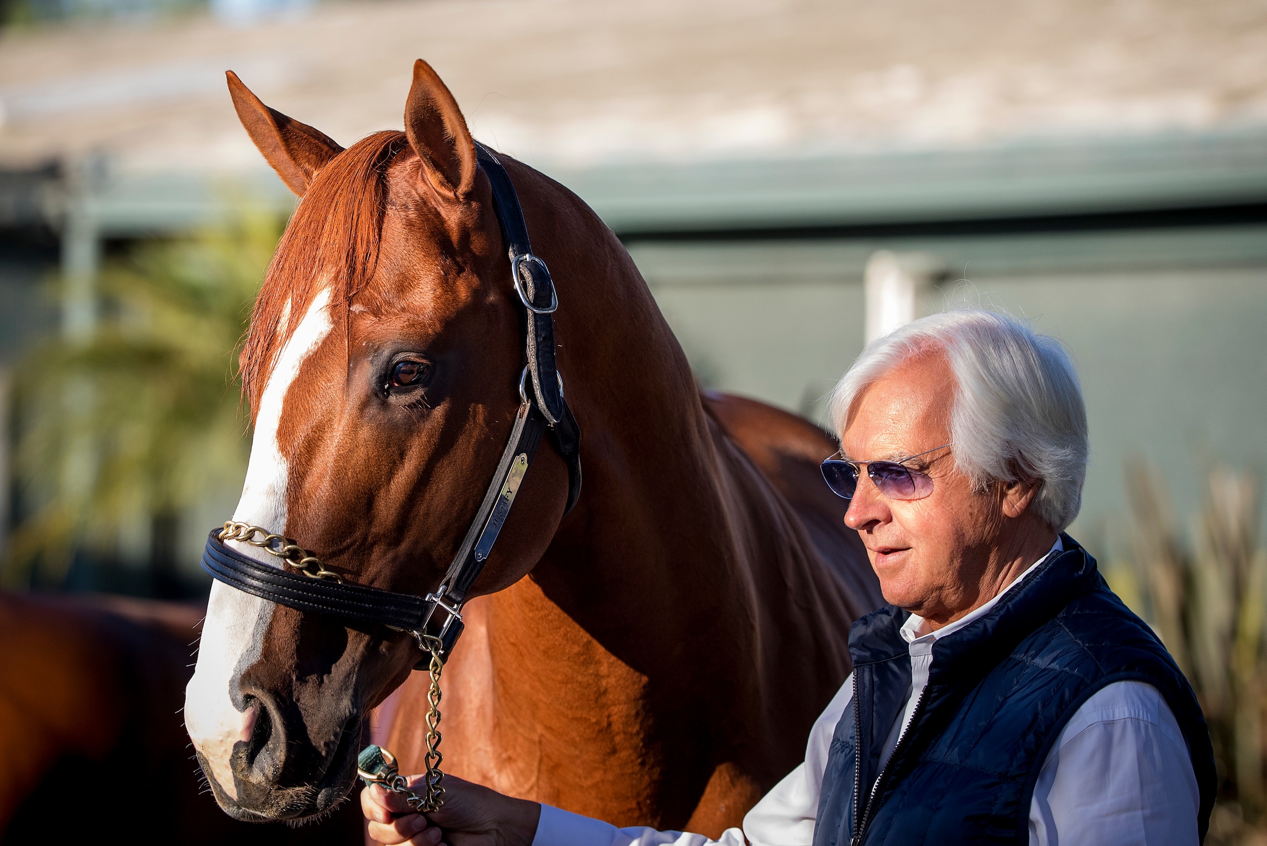 ARCADIA, CA - APRIL 21: Kentucky Derby favorite, Justify with trainer Bob Baffert at Santa Anita Park on April 21, 2018 in Arcadia, California. (Photo by Alex Evers/Eclipse Sportswire/Getty Images)