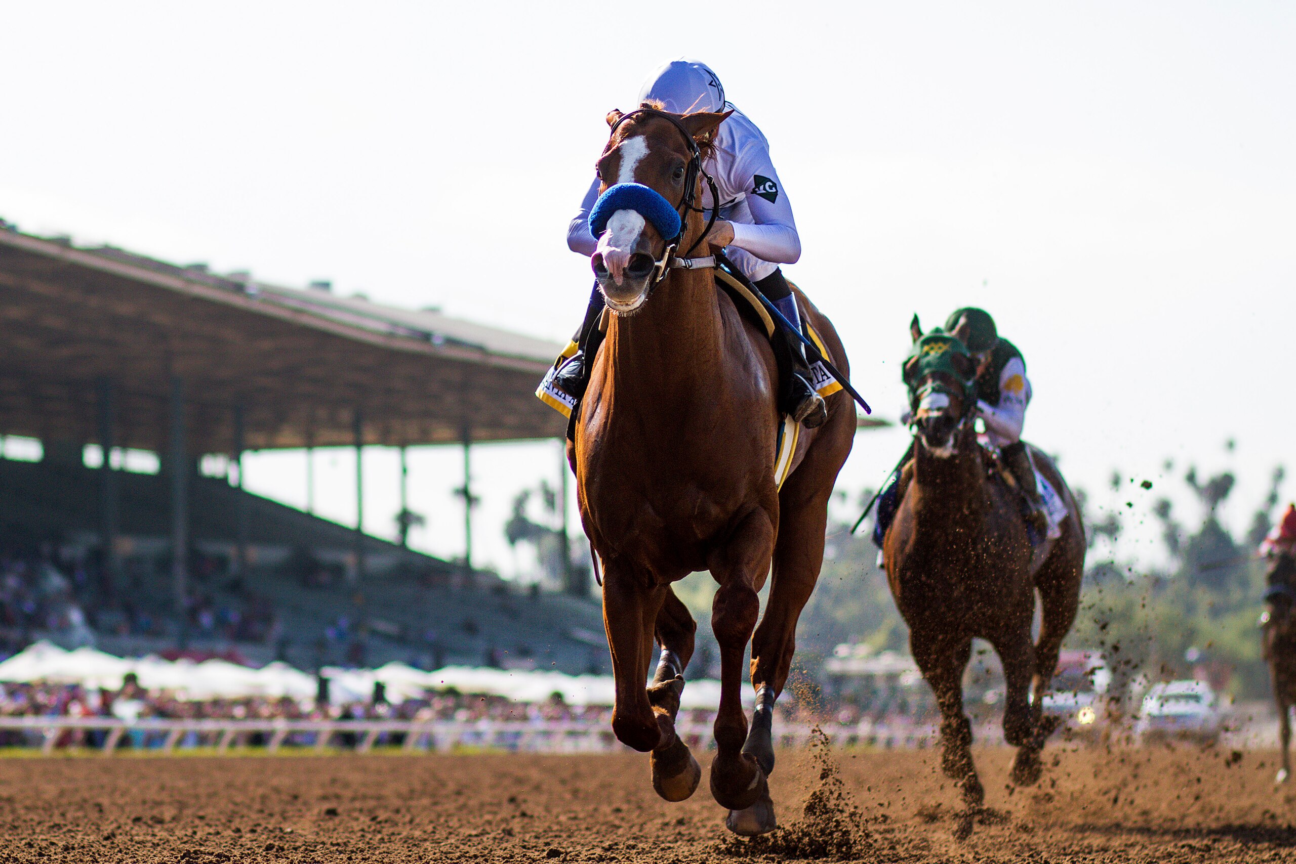 ARCADIA, CA - APRIL 07: Justify #6 with Mike Smith defeat Bolt d'Oro #3 and Javier Castellano to win the Santa Anita Derby at Santa Anita Park on April 07, 2018 in Arcadia, California.(Photo by Alex Evers/Eclipse Sportswire/Getty Images)