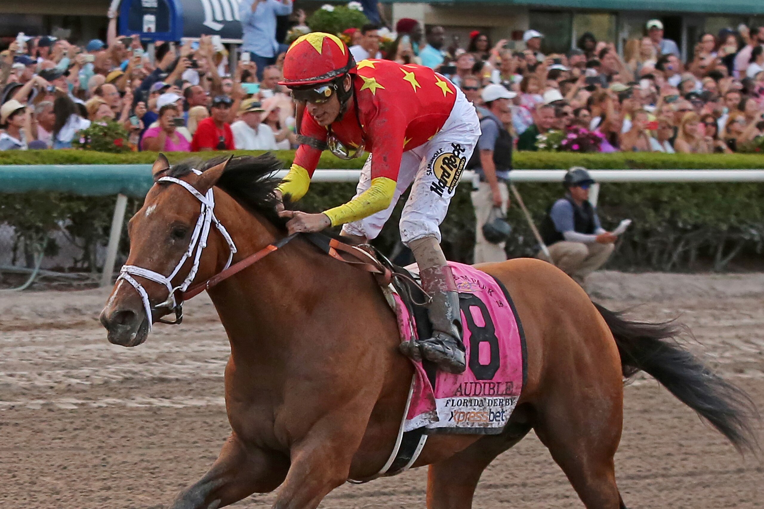 HALLANDALE BEACH, FL - MARCH 31: Audible, #8, ridden by John Velazquez, seals the deal for his Kentucky Derby bid after his decisive win in the Grade I Xpressbet Florida Derby at Gulfstream Park on March 31, 2018 in Hallandale Beach, Florida. (Photo by Li HALLANDALE BEACH, FL - MARCH 31: Audible, #8, ridden by John Velazquez, seals the deal for his Kentucky Derby bid after his decisive win in the Grade I Xpressbet Florida Derby at Gulfstream Park on March 31, 2018 in Hallandale Beach, Florida. (Photo by Li