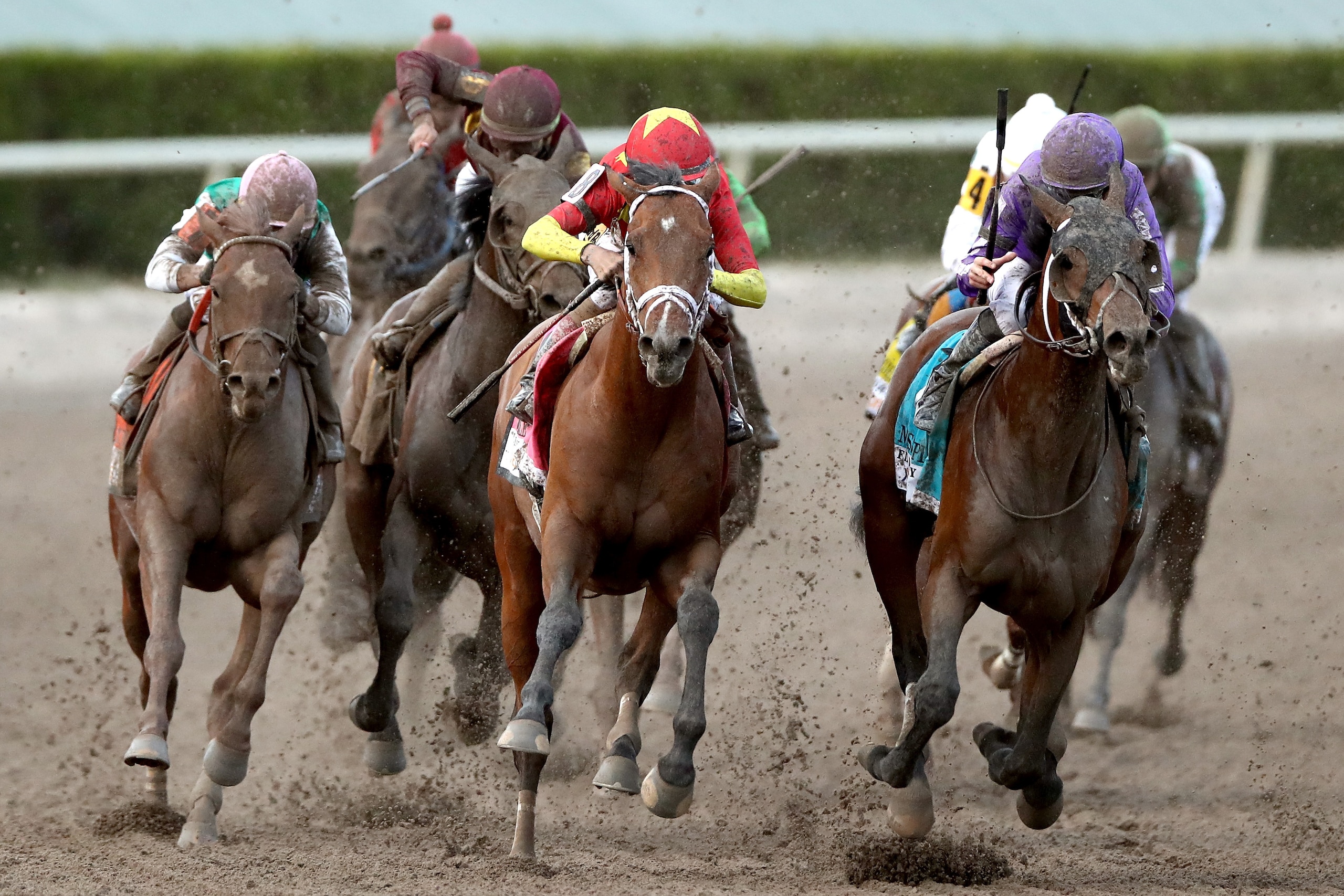 HALLANDALE, FL - MARCH 31: Audible #8, riden by John Valesquez, battles Catholic Boy #6, riden by Irad Ortiz Jr, out of turn four during the Florida Derby at Gulfstream Park on March 31, 2018 in Hallandale, Florida. (Photo by Matthew Stockman/Getty Imag HALLANDALE, FL - MARCH 31: Audible #8, riden by John Valesquez, battles Catholic Boy #6, riden by Irad Ortiz Jr, out of turn four during the Florida Derby at Gulfstream Park on March 31, 2018 in Hallandale, Florida. (Photo by Matthew Stockman/Getty Imag
