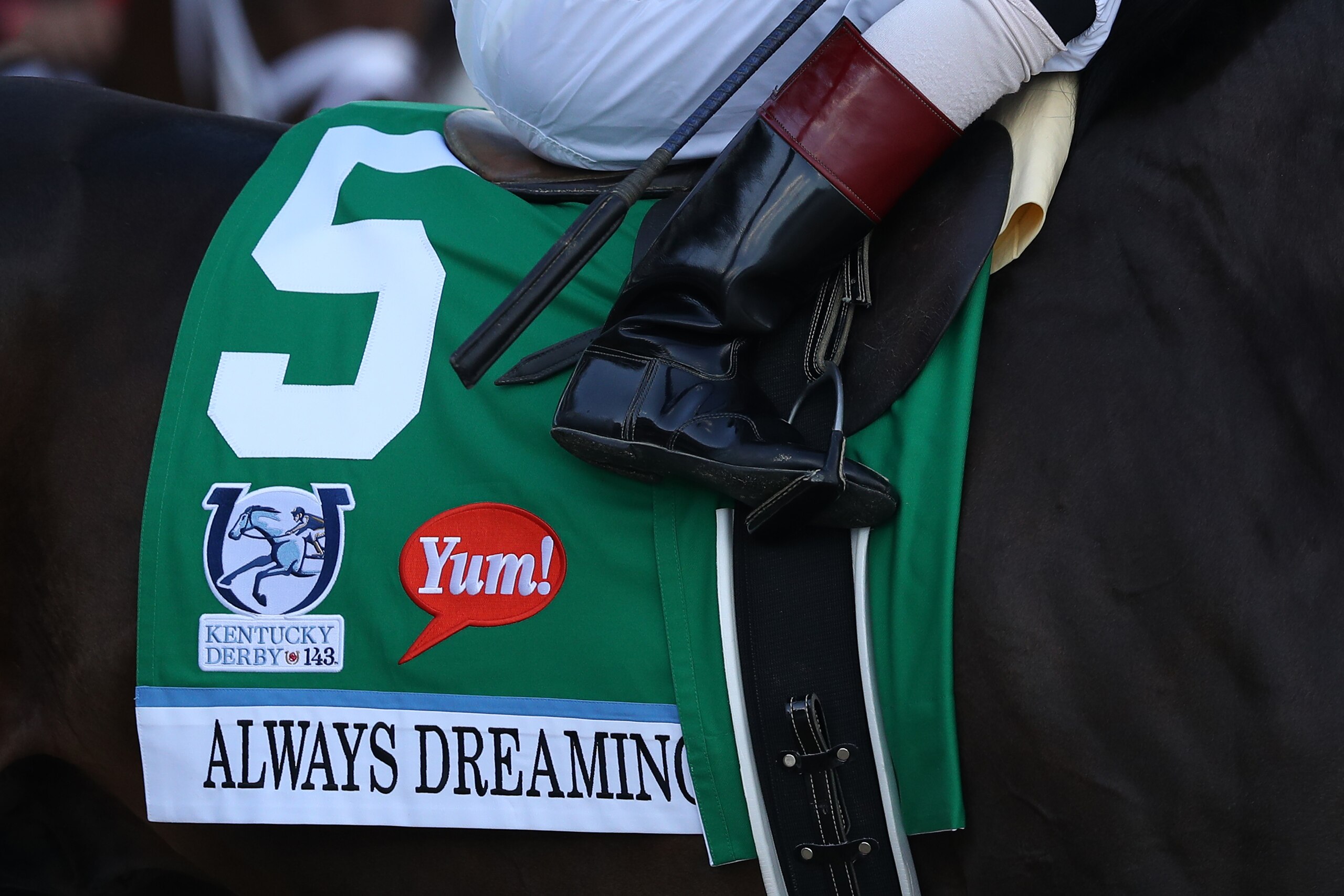 LOUISVILLE, KY - MAY 06: A detailed view of the bib of horse Always Dreaming #5 before the 143rd running of the Kentucky Derby at Churchill Downs on May 6, 2017 in Louisville, Kentucky. (Photo by Patrick Smith/Getty Images)