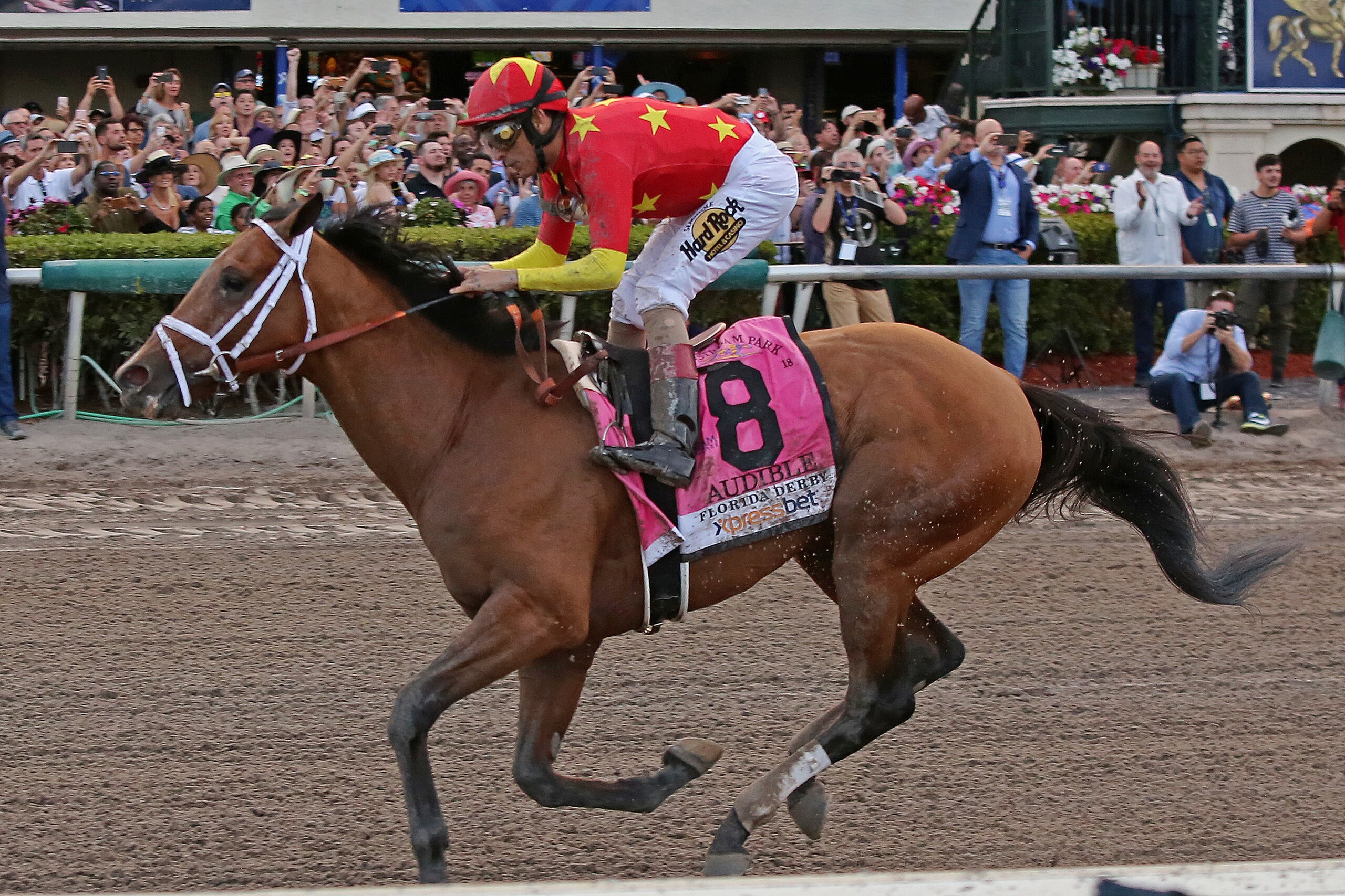 HALLANDALE BEACH, FL - MARCH 31: Audible, #8, ridden by John Velazquez, seals the deal for his Kentucky Derby bid after his decisive win in the Grade I Xpressbet Florida Derby at Gulfstream Park on March 31, 2018 in Hallandale Beach, Florida. (Photo by Li HALLANDALE BEACH, FL - MARCH 31: Audible, #8, ridden by John Velazquez, seals the deal for his Kentucky Derby bid after his decisive win in the Grade I Xpressbet Florida Derby at Gulfstream Park on March 31, 2018 in Hallandale Beach, Florida. (Photo by Li