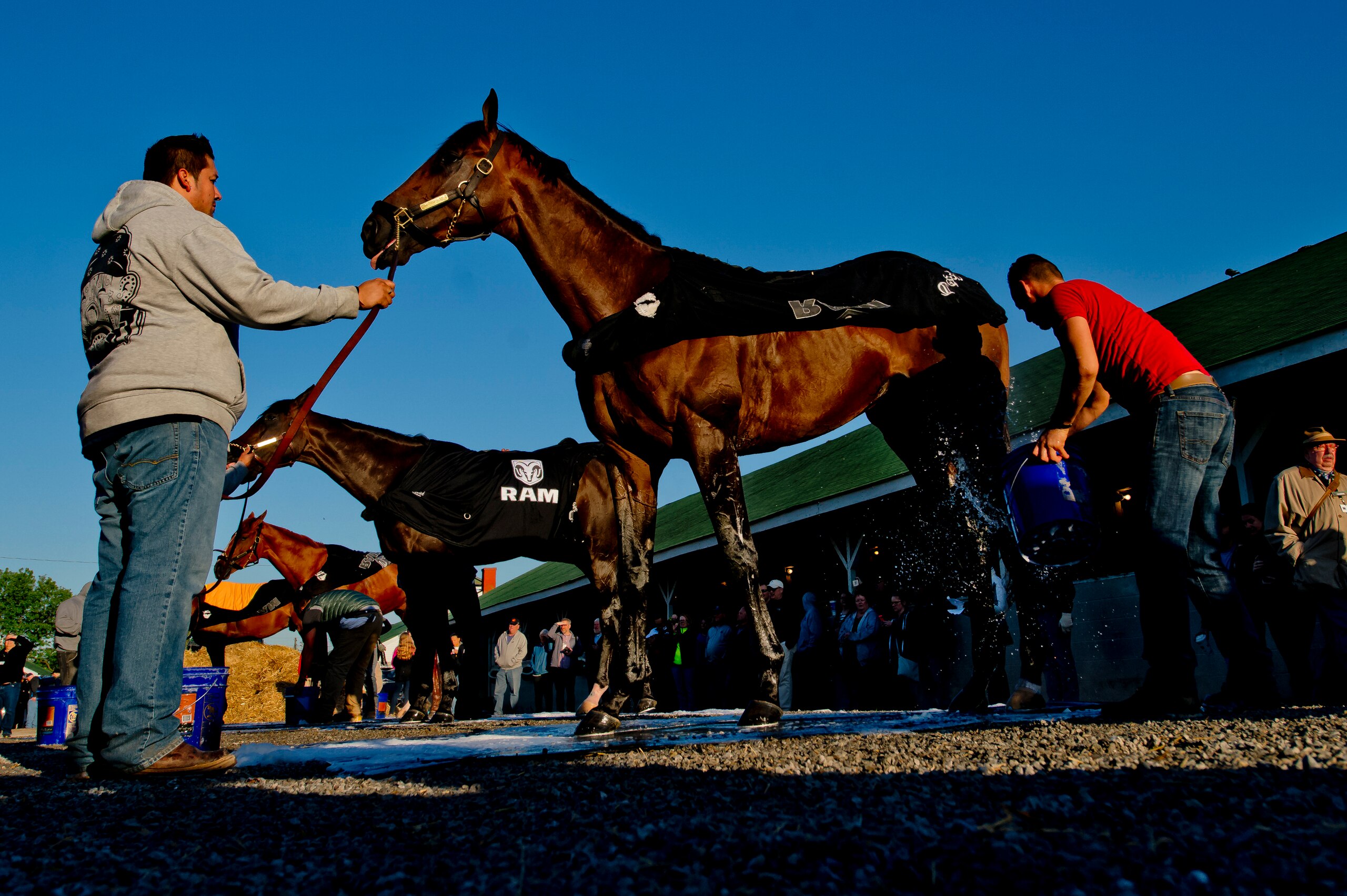 LOUISVILLE, KY - APRIL 30: All four Kentucky Derby hopefuls for trainer Todd Pletcher gets baths after exercising at Churchill Downs on April 30, 2018 in Louisville, Kentucky. Magnum Moon is in the foreground, followed by Noble Indy, Vino Rosso and Audibl LOUISVILLE, KY - APRIL 30: All four Kentucky Derby hopefuls for trainer Todd Pletcher gets baths after exercising at Churchill Downs on April 30, 2018 in Louisville, Kentucky. Magnum Moon is in the foreground, followed by Noble Indy, Vino Rosso and Audibl