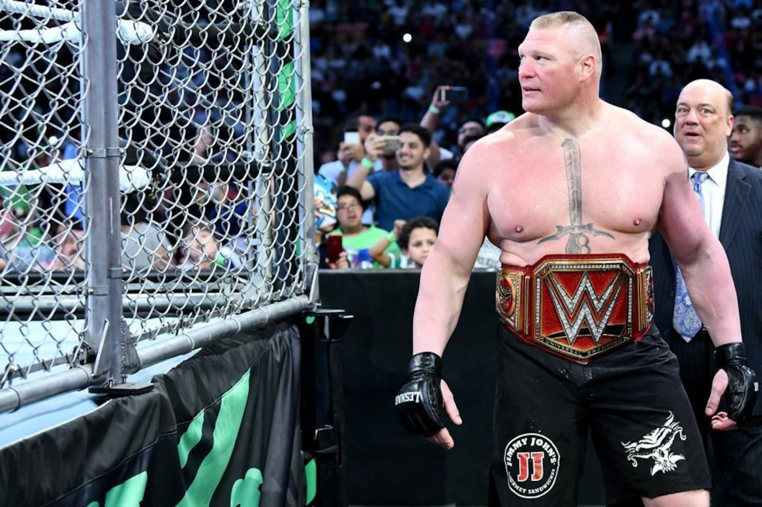 Judged by this look, Lesnar really likes cages in both WWE and the UFC.