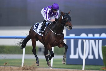 Mendelssohn is in top form as he comes to the Kentucky Derby.