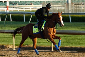 LOUISVILLE, KY - MAY 01:  Justify runs on the track during the morning training for the Kentucky Derby at Churchill Downs on May 1, 2018 in Louisville, Kentucky.  (Photo by Andy Lyons/Getty Images)