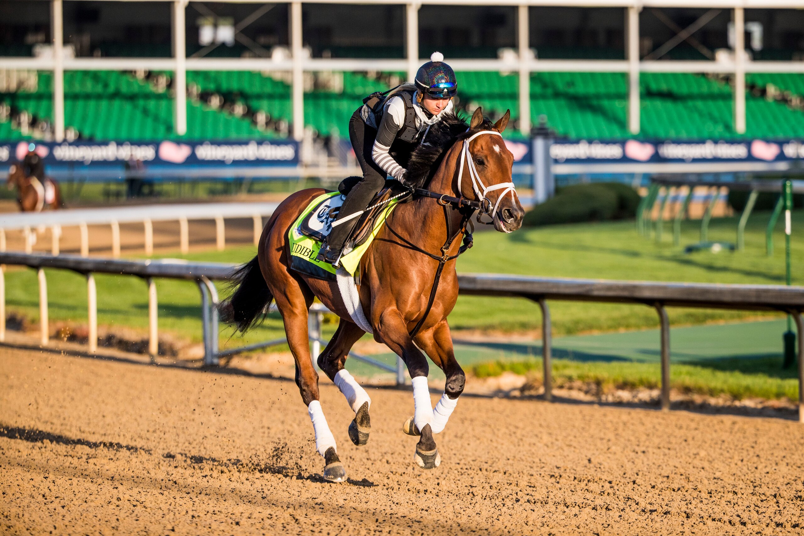 LOUISVILLE, KY - MAY 01: Audible gallops in preparation for the Kentucky Derby at Churchill Downs on May 1, 2018 in Louisville, Kentucky. (Photo by Alex Evers/Eclipse Sportswire/Getty Images)
