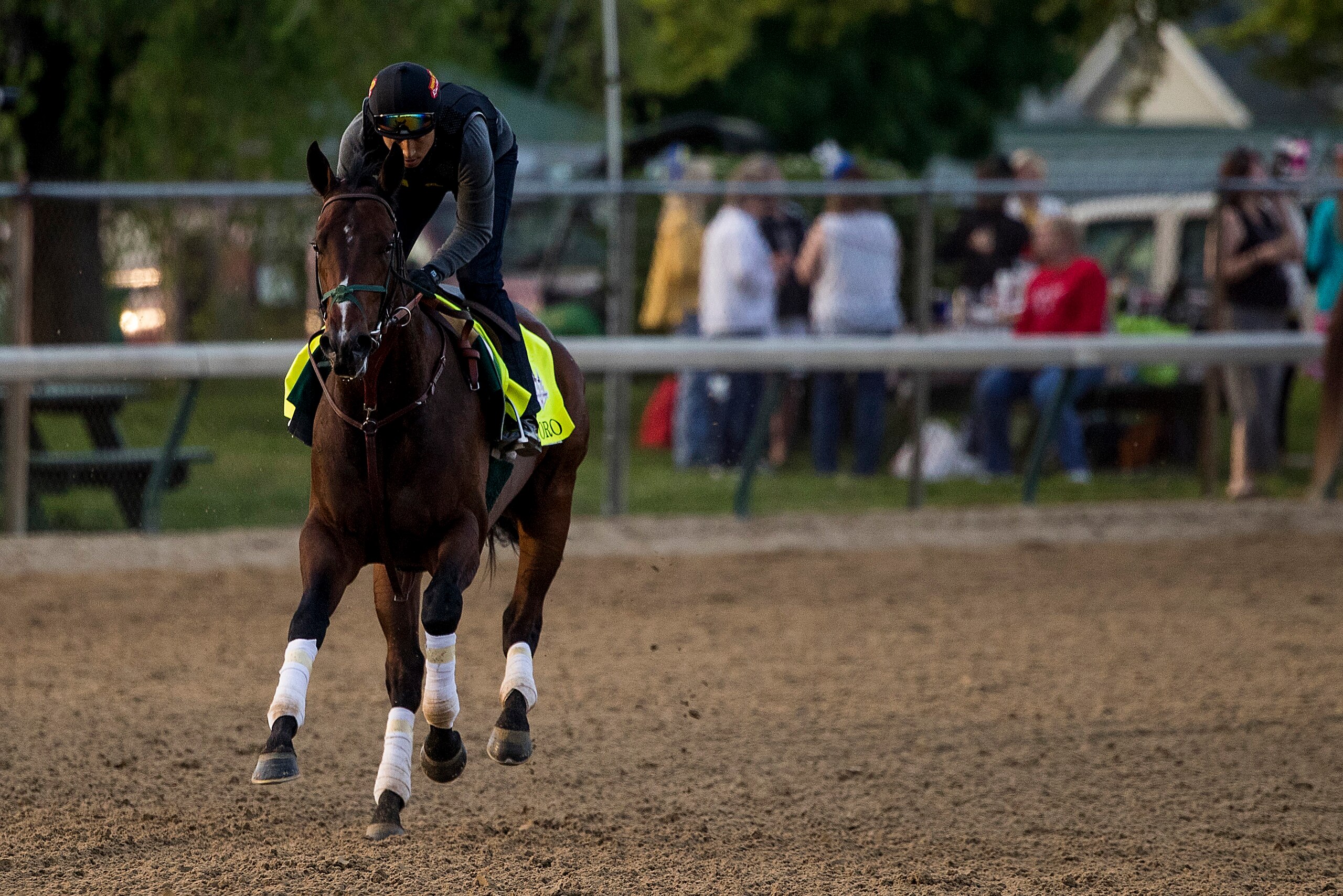 LOUISVILLE, KY - MAY 02: Bolt d'Oro gallops in preparation for the Kentucky Derby at Churchill Downs on May 2, 2018 in Louisville, Kentucky. (Photo by Alex Evers/Eclipse Sportswire/Getty Images)