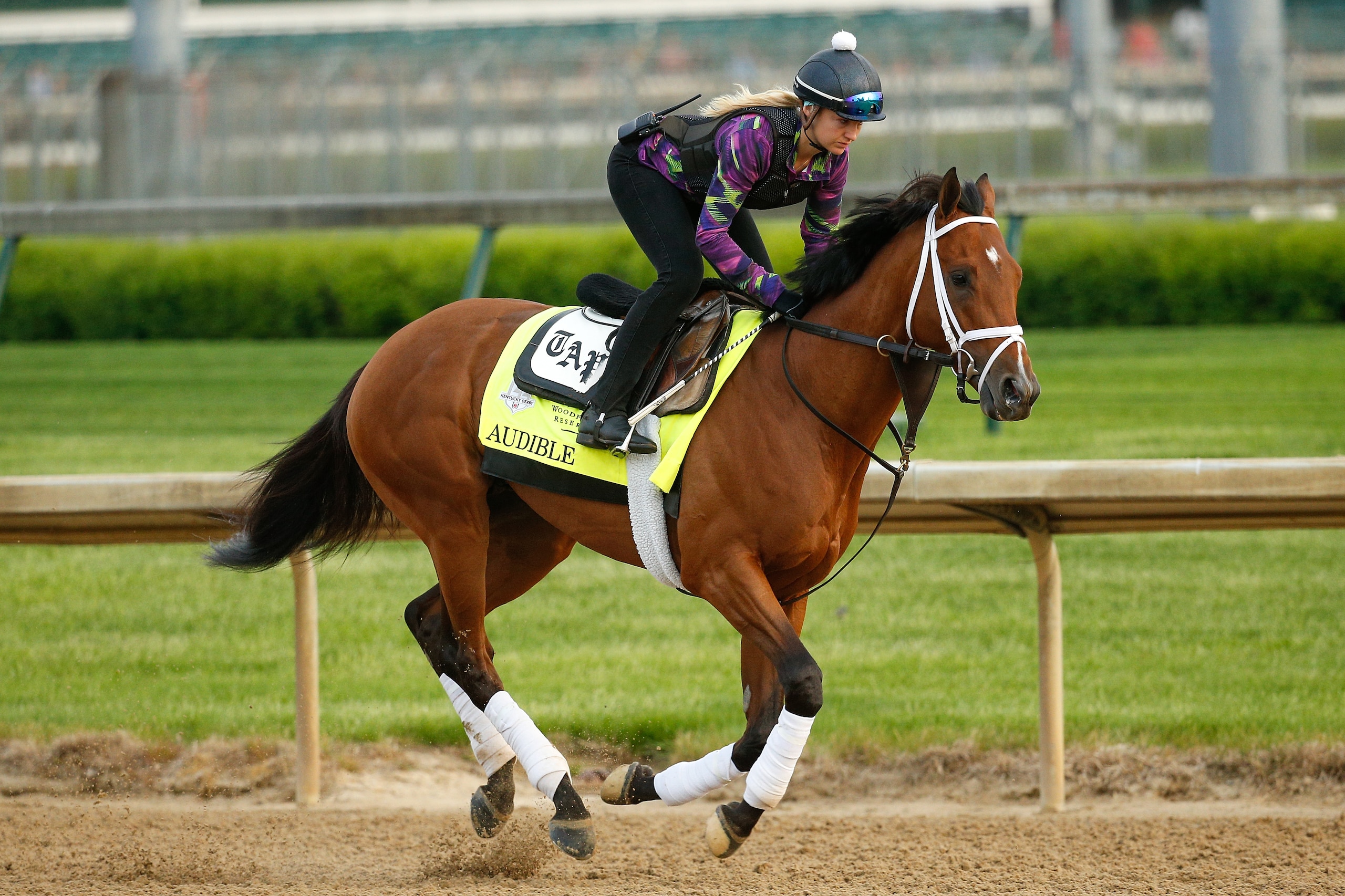 LOUISVILLE, KY - MAY 03:  Audible trains on the track during morning workouts in preparation for the Kentucky Derby at Churchill Downs on May 3, 2018 in Louisville, Kentucky.  (Photo by Michael Reaves/Getty Images)