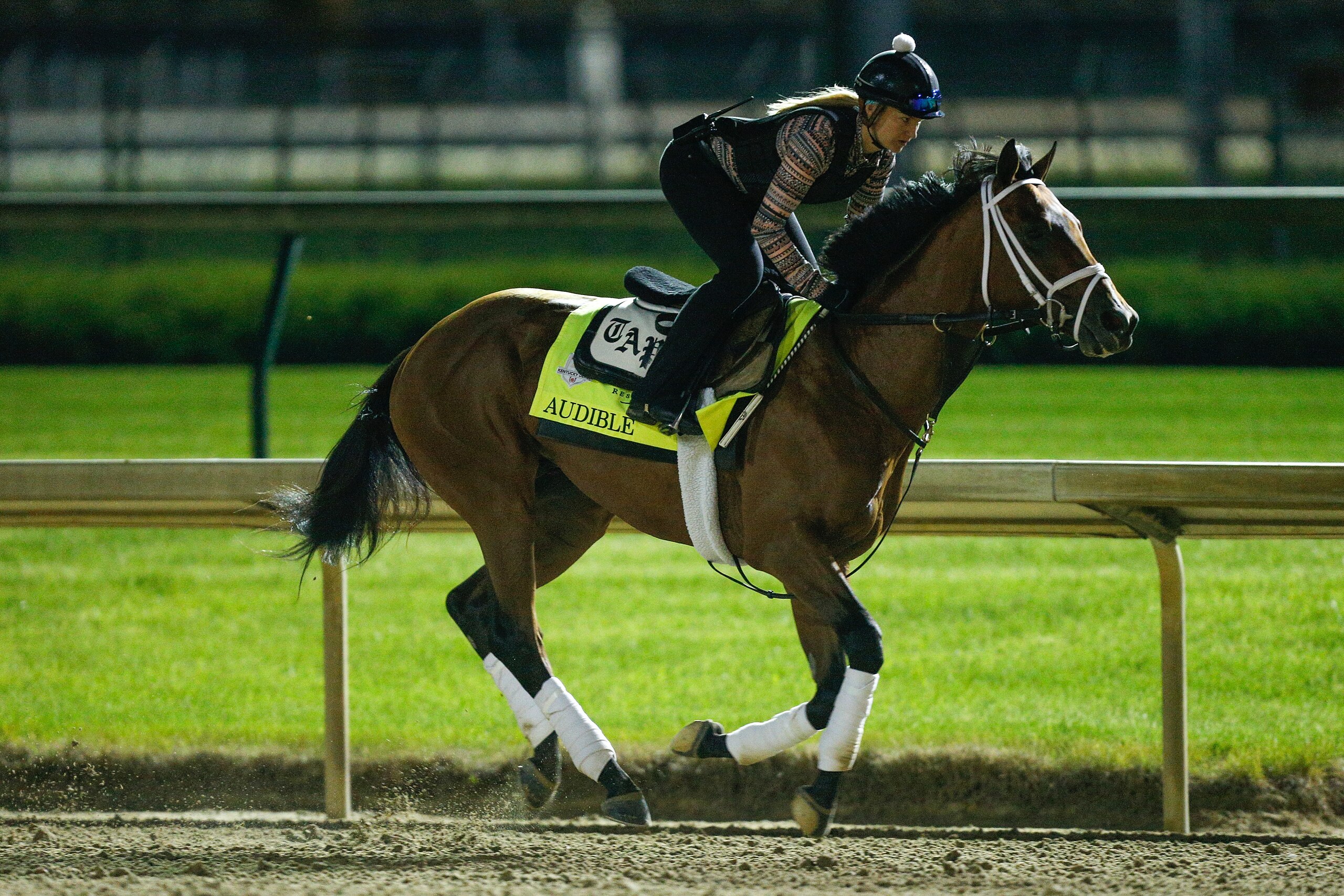LOUISVILLE, KY - MAY 04:  Audible trains on the track during morning workouts in preparation for the Kentucky Derby at Churchill Downs on May 4, 2018 in Louisville, Kentucky.  (Photo by Michael Reaves/Getty Images)