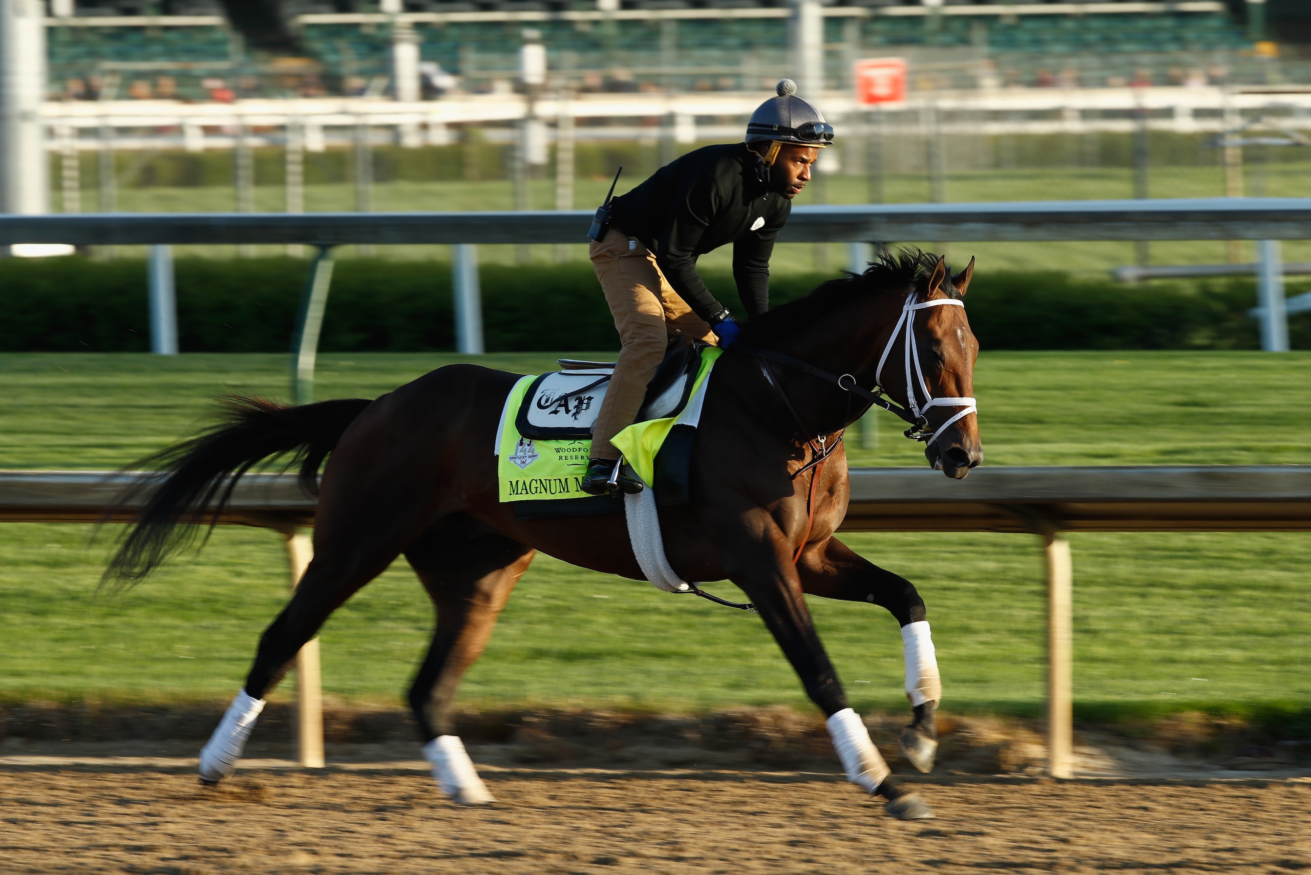 LOUISVILLE, KY - MAY 01:  Magnum Moon runs on the track during the morning training for the Kentucky Derby at Churchill Downs on May 1, 2018 in Louisville, Kentucky.  (Photo by Andy Lyons/Getty Images)