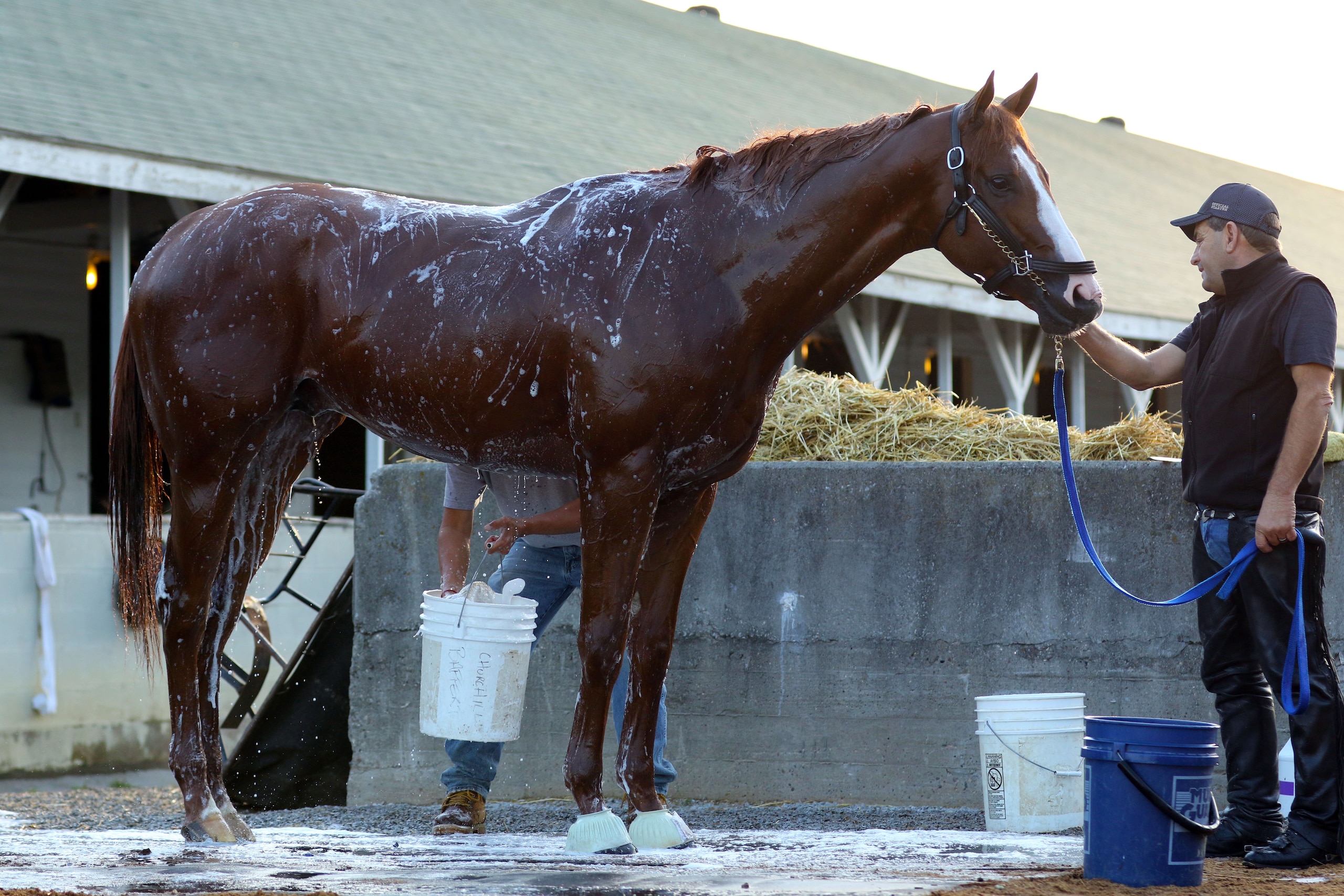 LOUISVILLE, KY - MAY 10: Kentucky Derby winner Justify held for a bath by assistant trainer Jimmy Barnes after galloping at Churchill Downs on May 10, 2018 in Louisville, Kentucky. It was his first visit to the track since his Kentucky Derby win five days