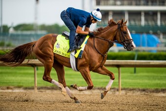 LOUISVILLE, KY - MAY 03: Good Magic, trained by Chad Brown, exercises in preparation for the Kentucky Derby at Churchill Downs on May 3, 2018 in Louisville, Kentucky. (Photo by Alex Evers/Eclipse Sportswire/Getty Images)
