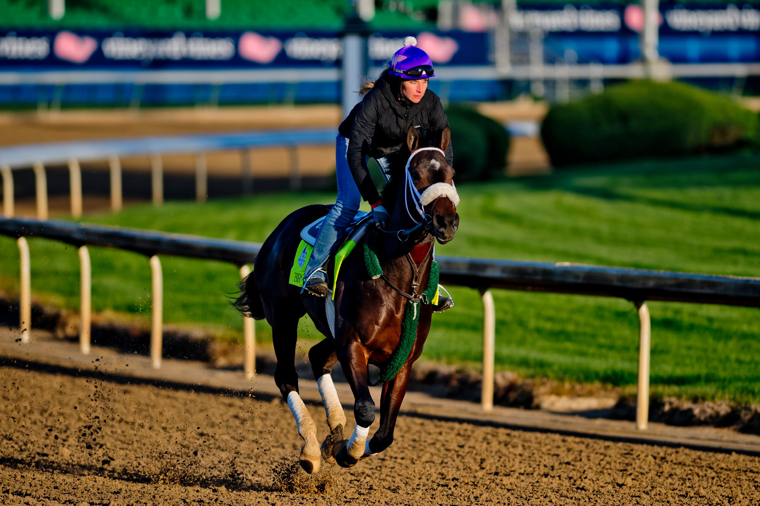 LOUISVILLE, KY - APRIL 30: Bravazo, trained by D. Wayne Lukas, exercises in preparation for the Kentucky Derby at Churchill Downs on April 30, 2018 in Louisville, Kentucky. (Photo by Scott Serio/Eclipse Sportswire/Getty Images)