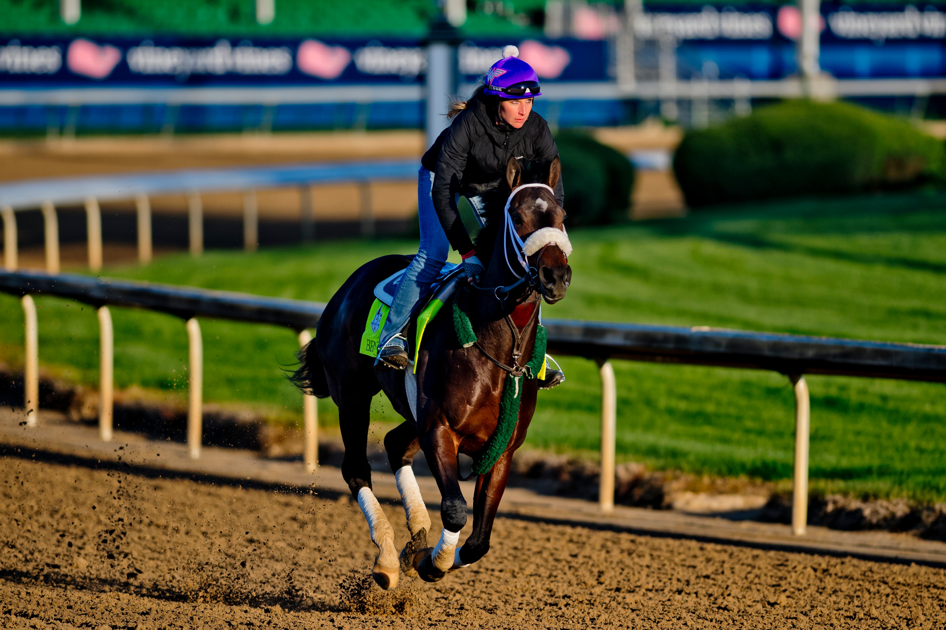 LOUISVILLE, KY - APRIL 30: Bravazo, trained by D. Wayne Lukas, exercises in preparation for the Kentucky Derby at Churchill Downs on April 30, 2018 in Louisville, Kentucky. (Photo by Scott Serio/Eclipse Sportswire/Getty Images)
