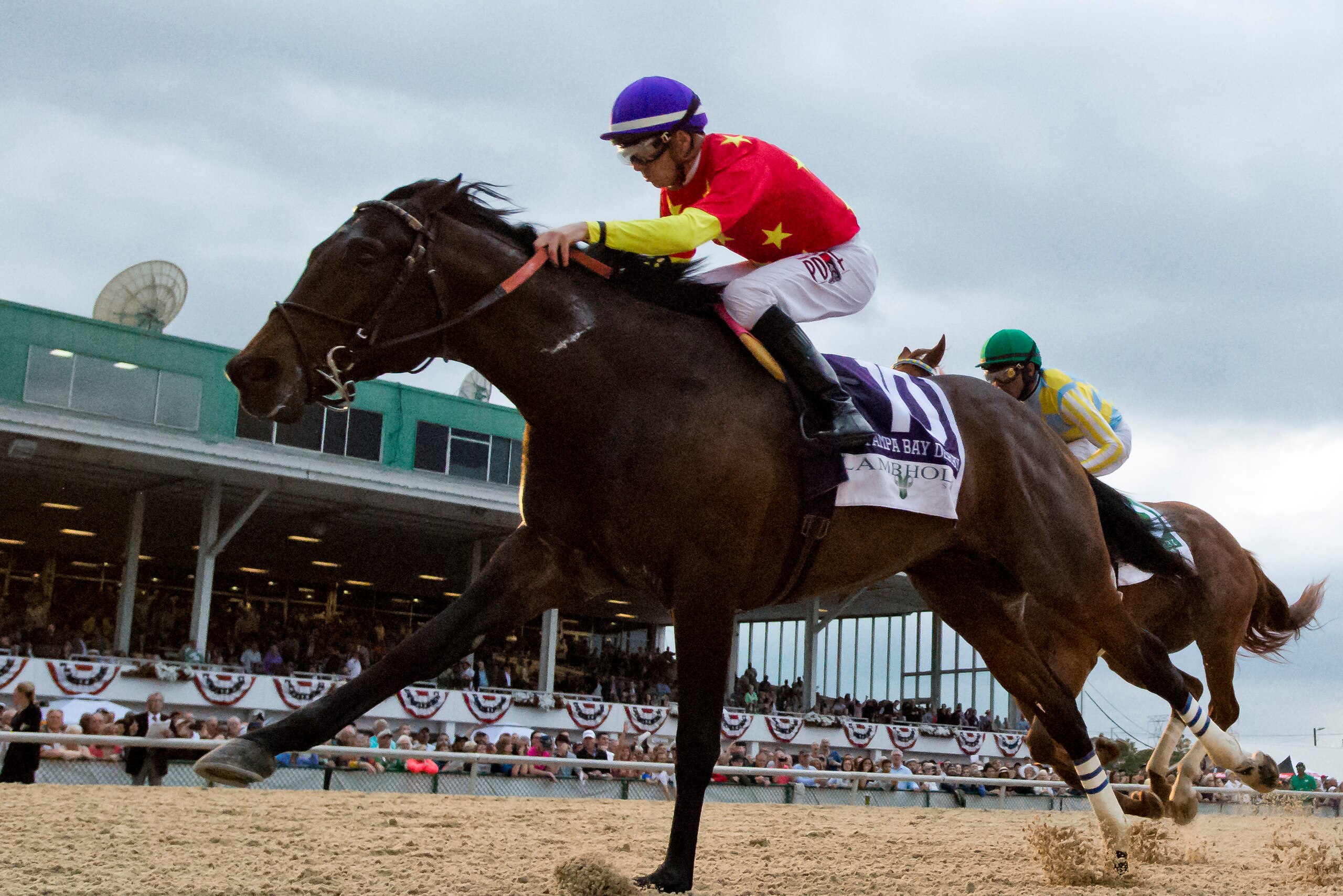 OLDSMAR, FL - MARCH 10: Quip #10, ridden by Florent Geroux wins the Tampa Bay Derby on Tampa Derby Day at Tampa Bay Downs on March 10, 2018 in Oldsmar, FL. (Photo by Scott Serio/Eclipse Sportswire/Getty Images)