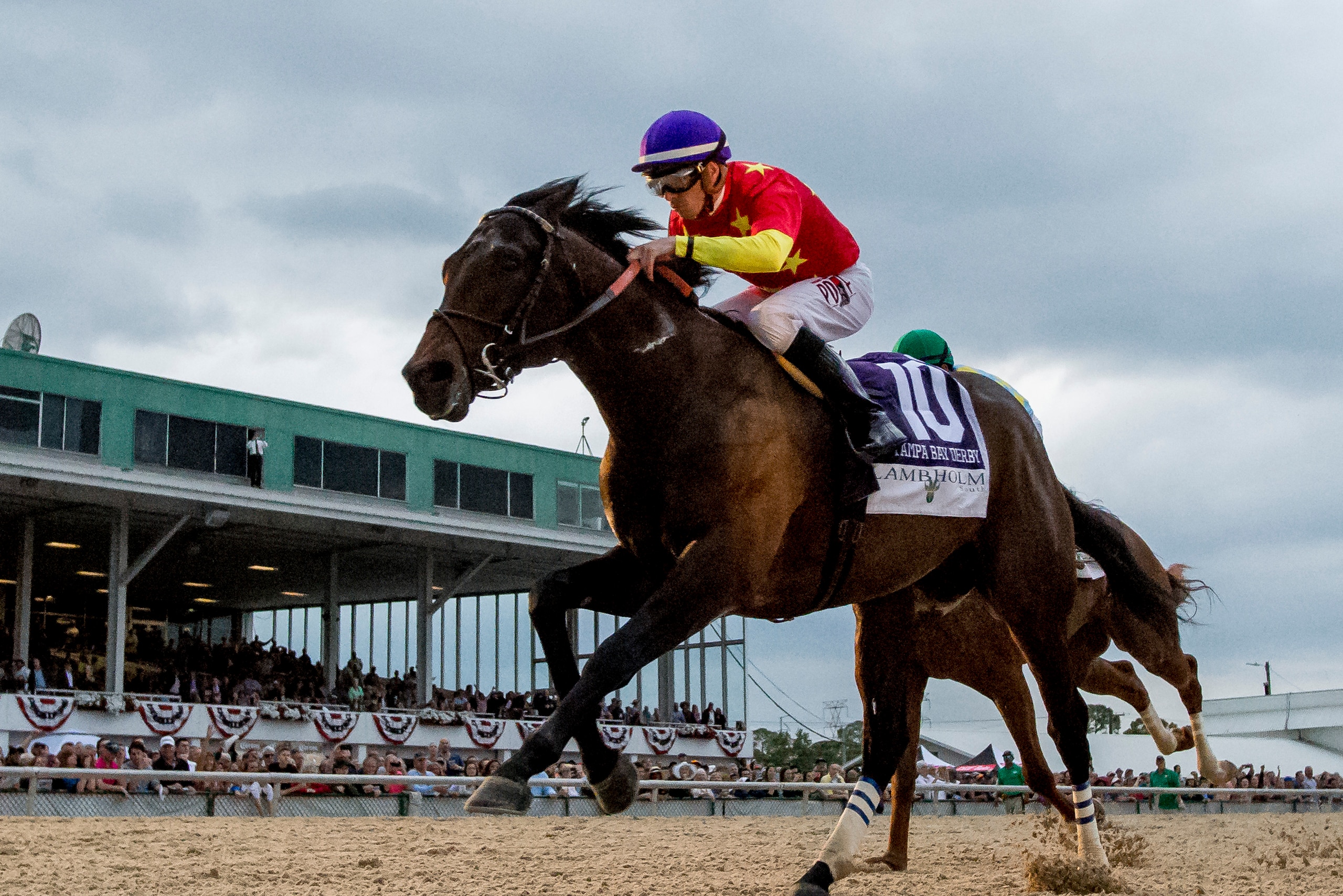 OLDSMAR, FL - MARCH 10: Quip #10, ridden by Florent Geroux wins the Tampa Bay Derby on Tampa Derby Day at Tampa Bay Downs on March 10, 2018 in Oldsmar, FL. (Photo by Scott Serio/Eclipse Sportswire/Getty Images)