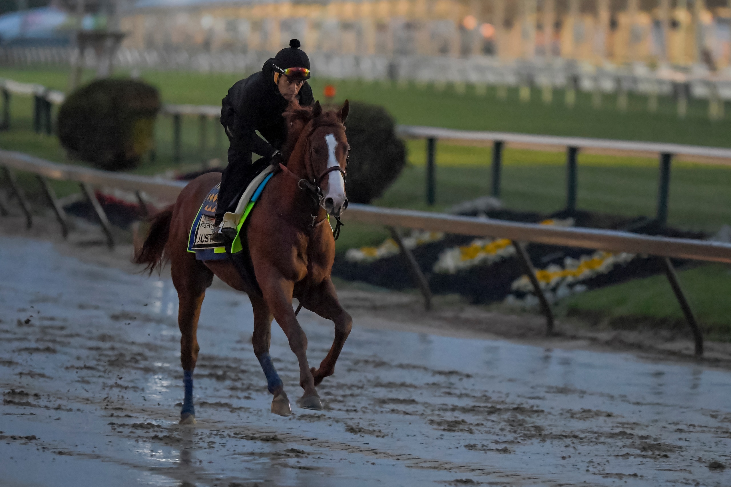 BALTIMORE, MD - MAY 18: Justify, with exercise rider Humberto Gomez up, gets in his final workout in the dark in preparation for the Preakness at Pimlico Race Course on May 18, 2018 in Baltimore, Maryland (Photo by Scott Serio/Eclipse Sportswire/Getty Ima