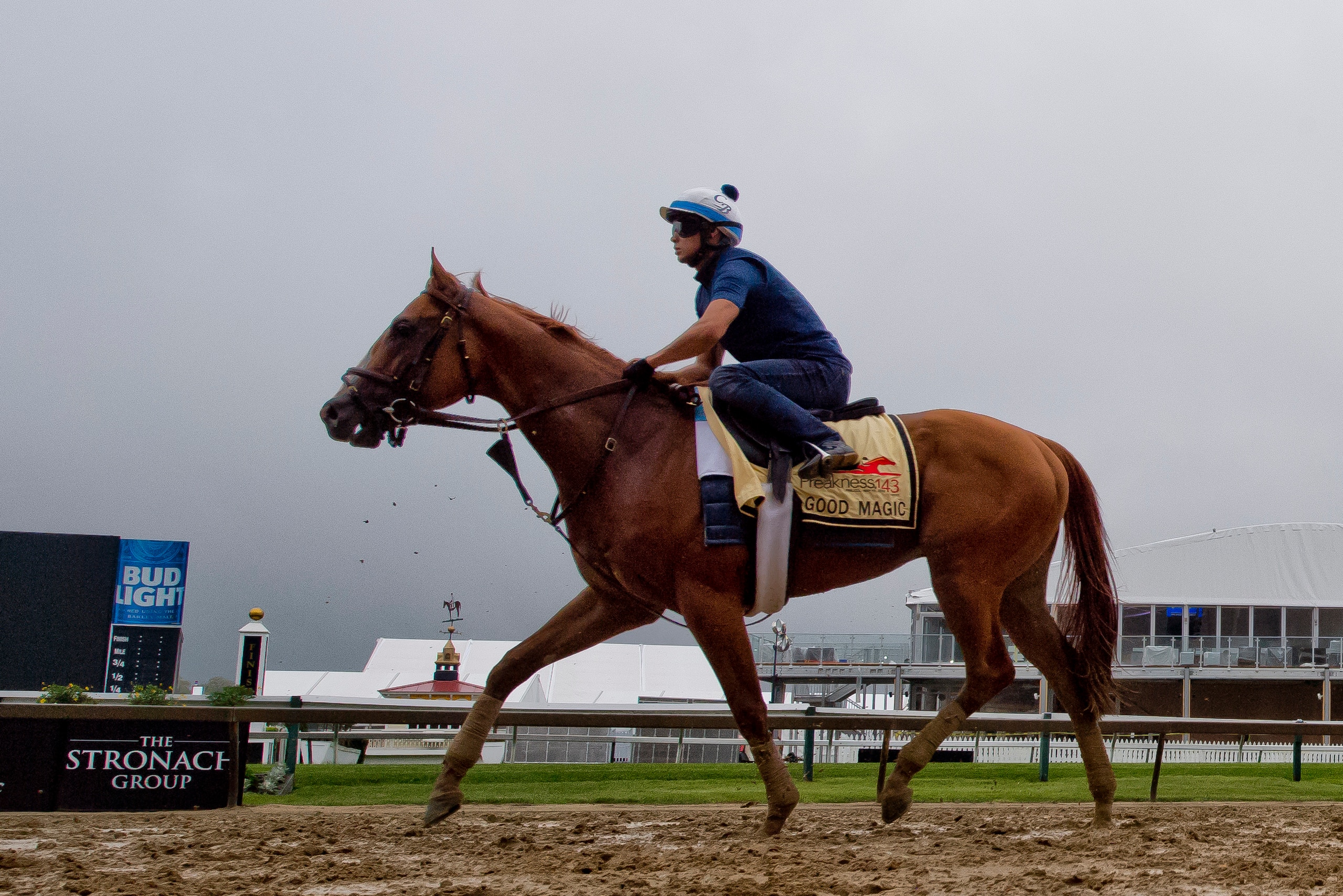 BALTIMORE, MD - MAY 16: Good Magic returns to the barn after galloping in preparation for the Preakness at Pimlico Race Course on May 15, 2018 in Baltimore, Maryland (Photo by Scott Serio/Eclipse Sportswire/Getty Images)
