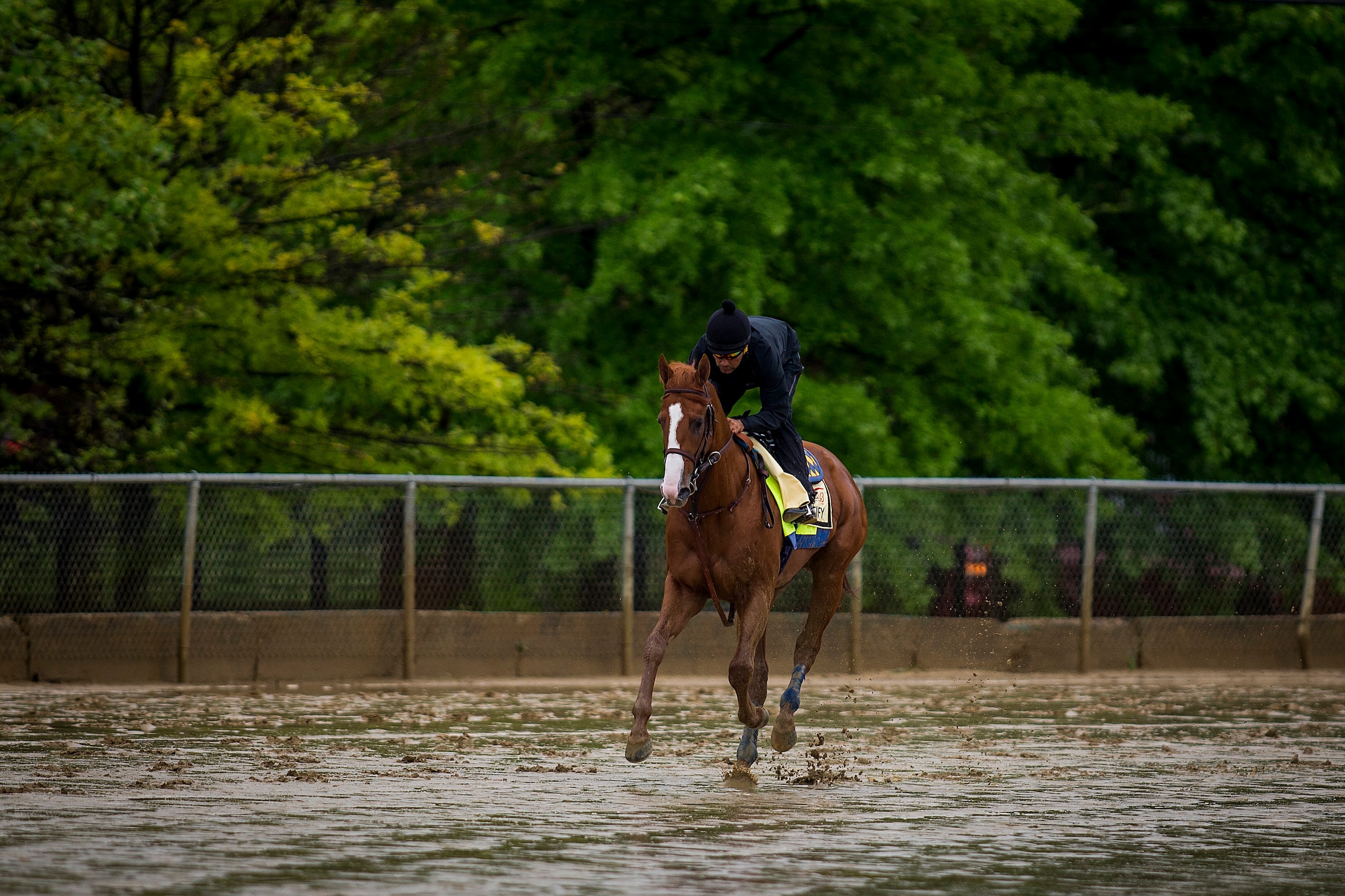 BALTIMORE, MD - MAY 17:  Justify with Humberto Gomez gallops in preparation for the Preakness Stakes at Pimlico Racecourse on May 17, 2018 in Baltimore, Maryland. (Photo by Alex Evers/Eclipse Sportswire/Getty Images)