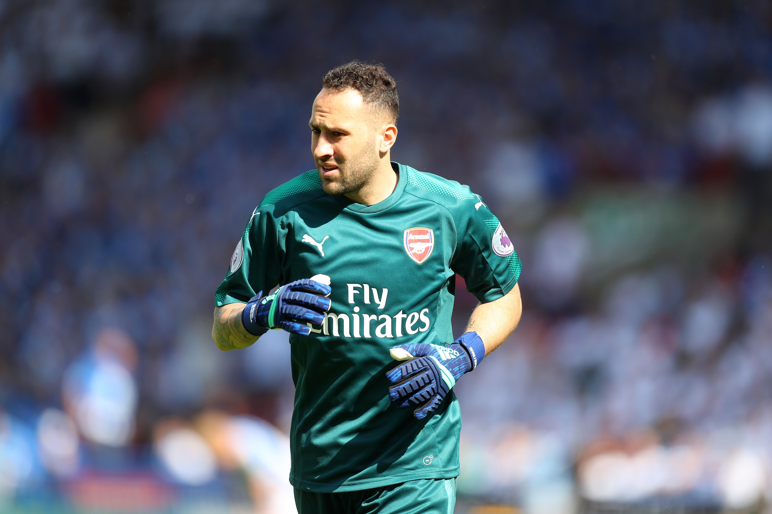 HUDDERSFIELD, ENGLAND - MAY 13: David Ospina of Arsenal during the Premier League match between Huddersfield Town and Arsenal at John Smith's Stadium on May 13, 2018 in Huddersfield, England. (Photo by Catherine Ivill/Getty Images)