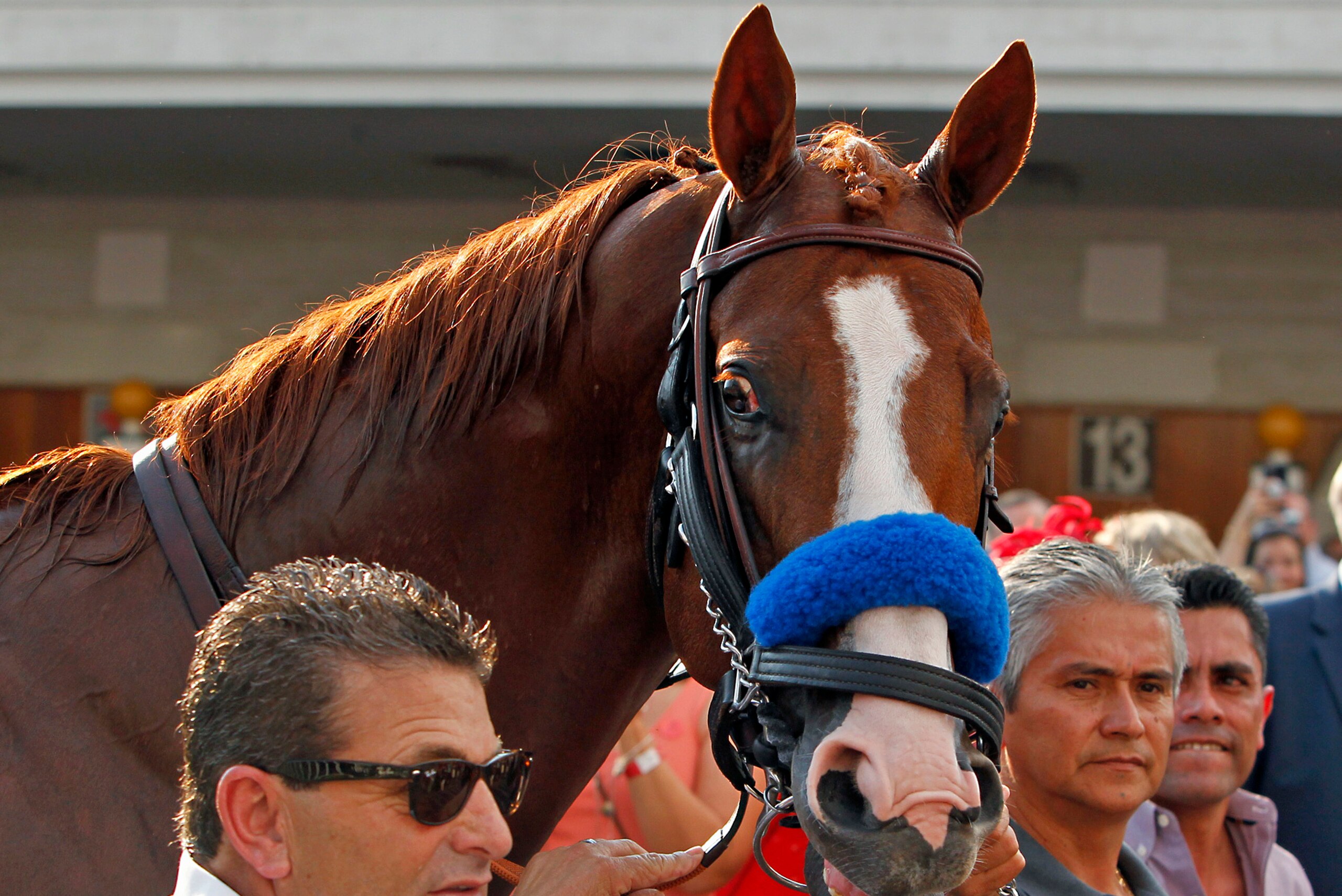 The Triple Crown winner has been retired following an ankle problem.