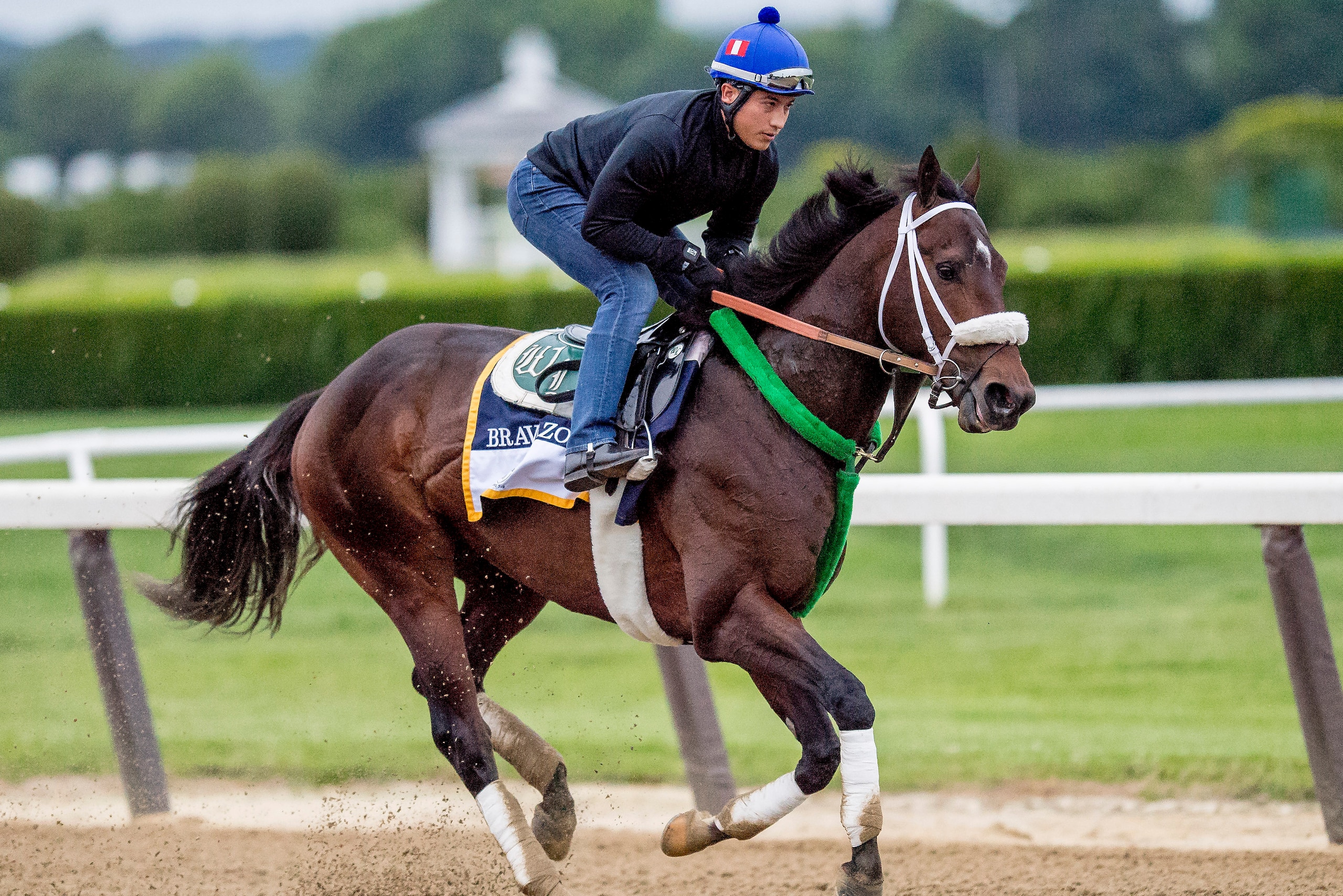 ELMONT, NY - JUNE 07: Bravazo gallops around the track during preparations for the 150th running of the Belmont Stakes at Belmont Park on June 7, 2018 in Elmont, New York. (Photo by Scott Serio/Eclipse Sportswire/Getty Images)