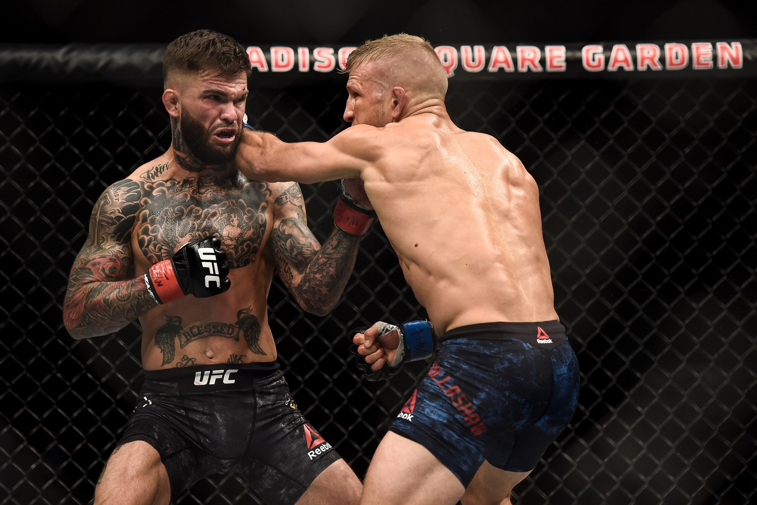 NEW YORK, NY - NOVEMBER 04: (R-L) TJ Dillashaw punches Cody Garbrandt in their UFC bantamweight championship bout during the UFC 217 event inside Madison Square Garden on November 4, 2017 in New York City. (Photo by Brandon Magnus/Zuffa LLC/Zuffa LLC via NEW YORK, NY - NOVEMBER 04: (R-L) TJ Dillashaw punches Cody Garbrandt in their UFC bantamweight championship bout during the UFC 217 event inside Madison Square Garden on November 4, 2017 in New York City. (Photo by Brandon Magnus/Zuffa LLC/Zuffa LLC via
