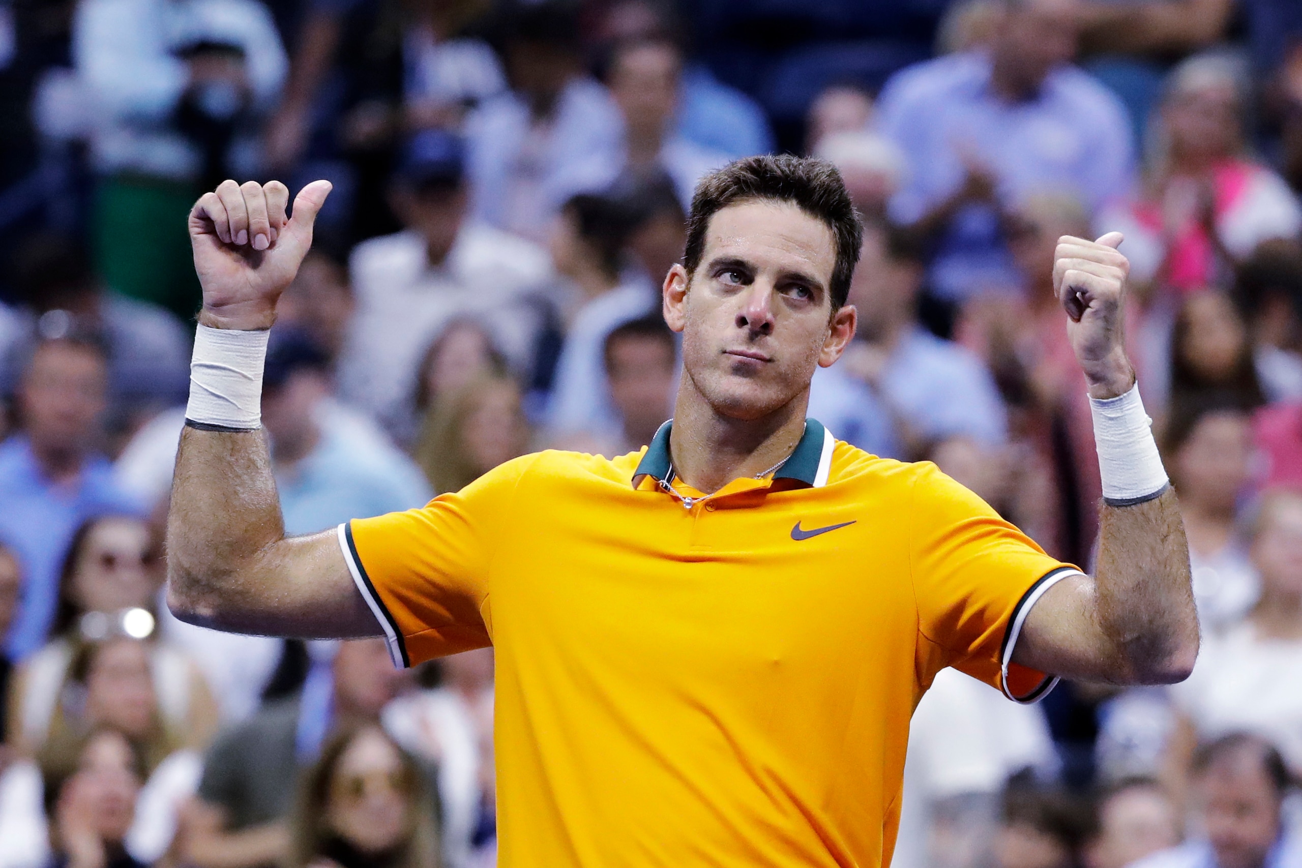 Juan Martin del Potro's only other Grand Slam final came in 2009 when he won the U.S. Open.