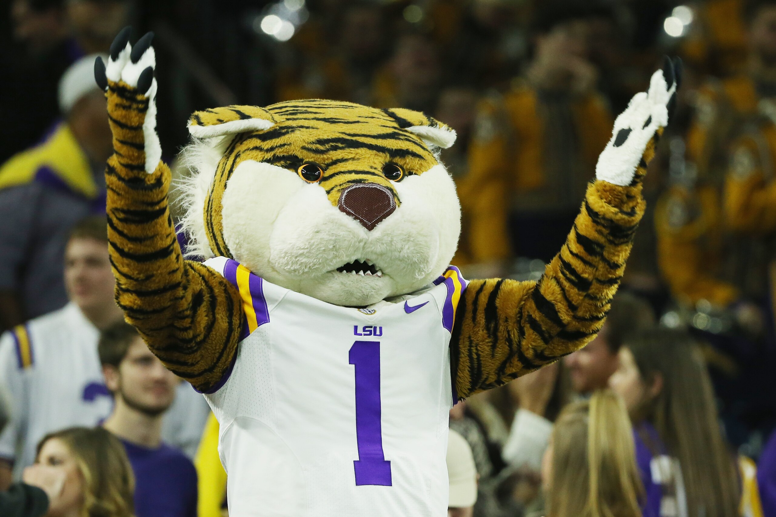 HOUSTON, TX - DECEMBER 29:  LSU Tigers mascot Mike cheers from the fan section during the second half of their game against the Texas Tech Red Raiders during the AdvoCare V100 Texas Bowl at NRG Stadium on December 29, 2015 in Houston, Texas.  (Photo by Sc