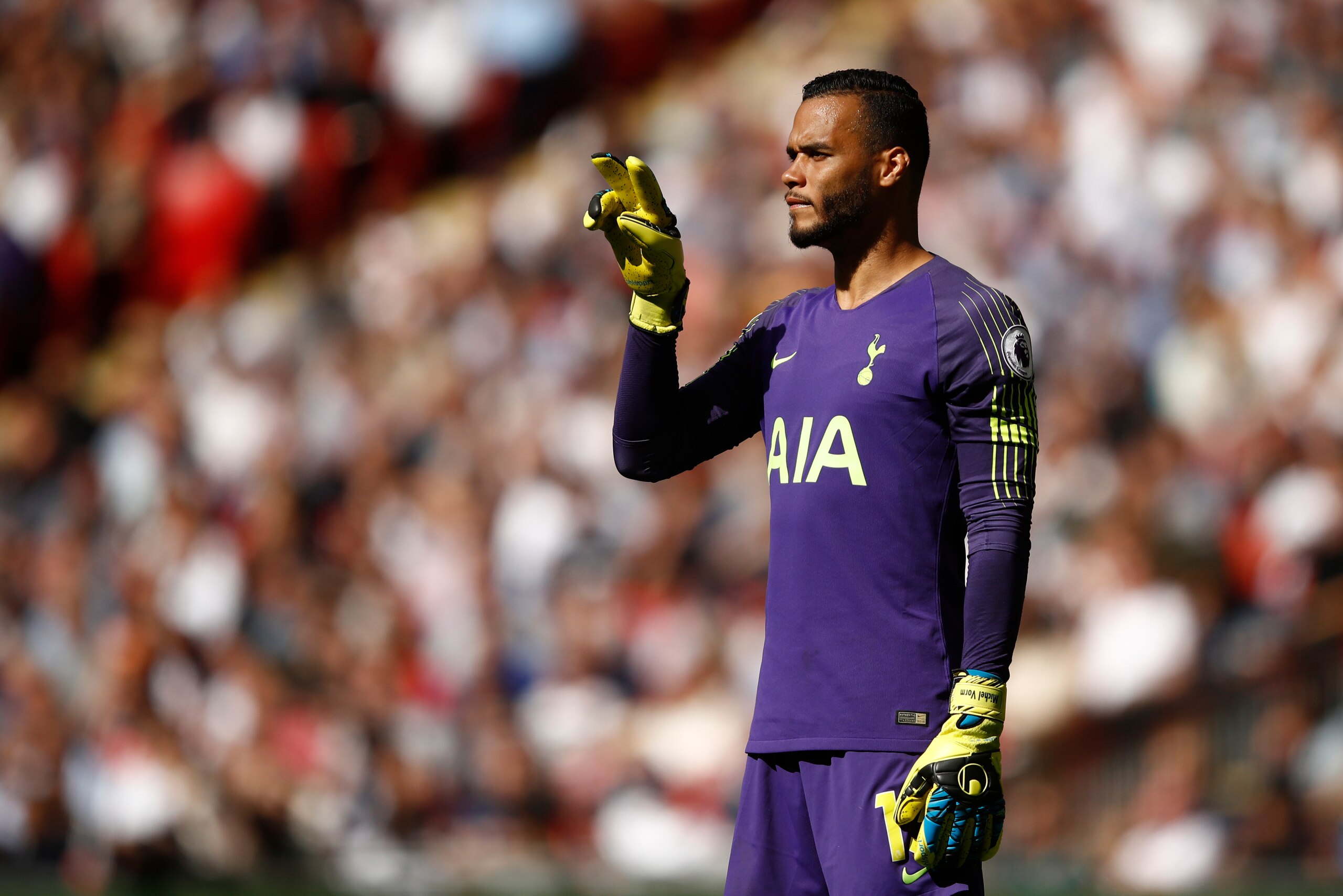 LONDON, ENGLAND - SEPTEMBER 15:  Michel Vorm of Tottenham Hotspur looks on during the Premier League match between Tottenham Hotspur and Liverpool FC at Wembley Stadium on September 15, 2018 in London, United Kingdom.  (Photo by Julian Finney/Getty Images