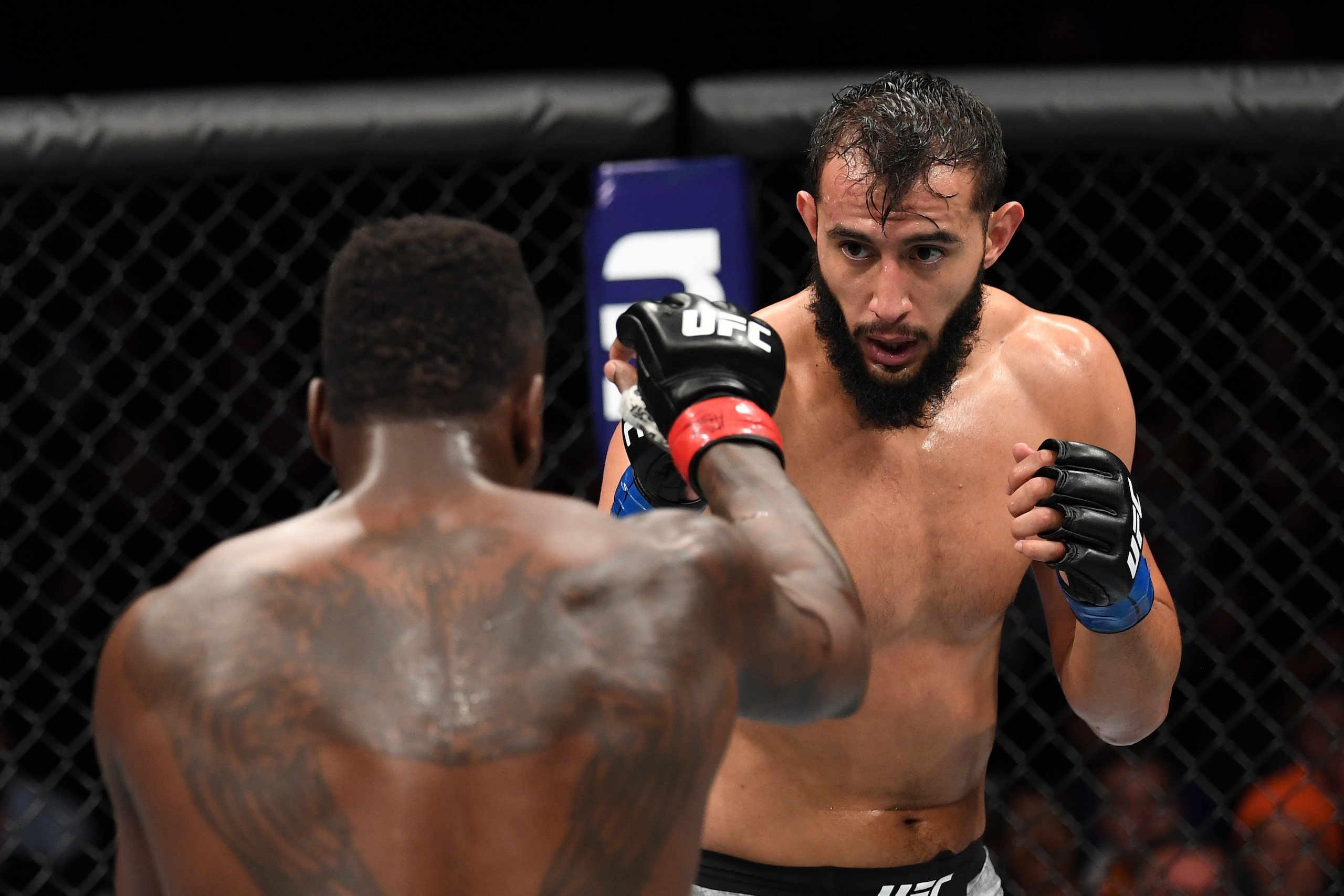 LAS VEGAS, NV - OCTOBER 06:  Dominick Reyes (r) and Ovince Saint Preux touch gloves in their light heavyweight bout during the UFC 229 event inside T-Mobile Arena on October 6, 2018 in Las Vegas, Nevada.  (Photo by Josh Hedges/Zuffa LLC/Zuffa LLC)