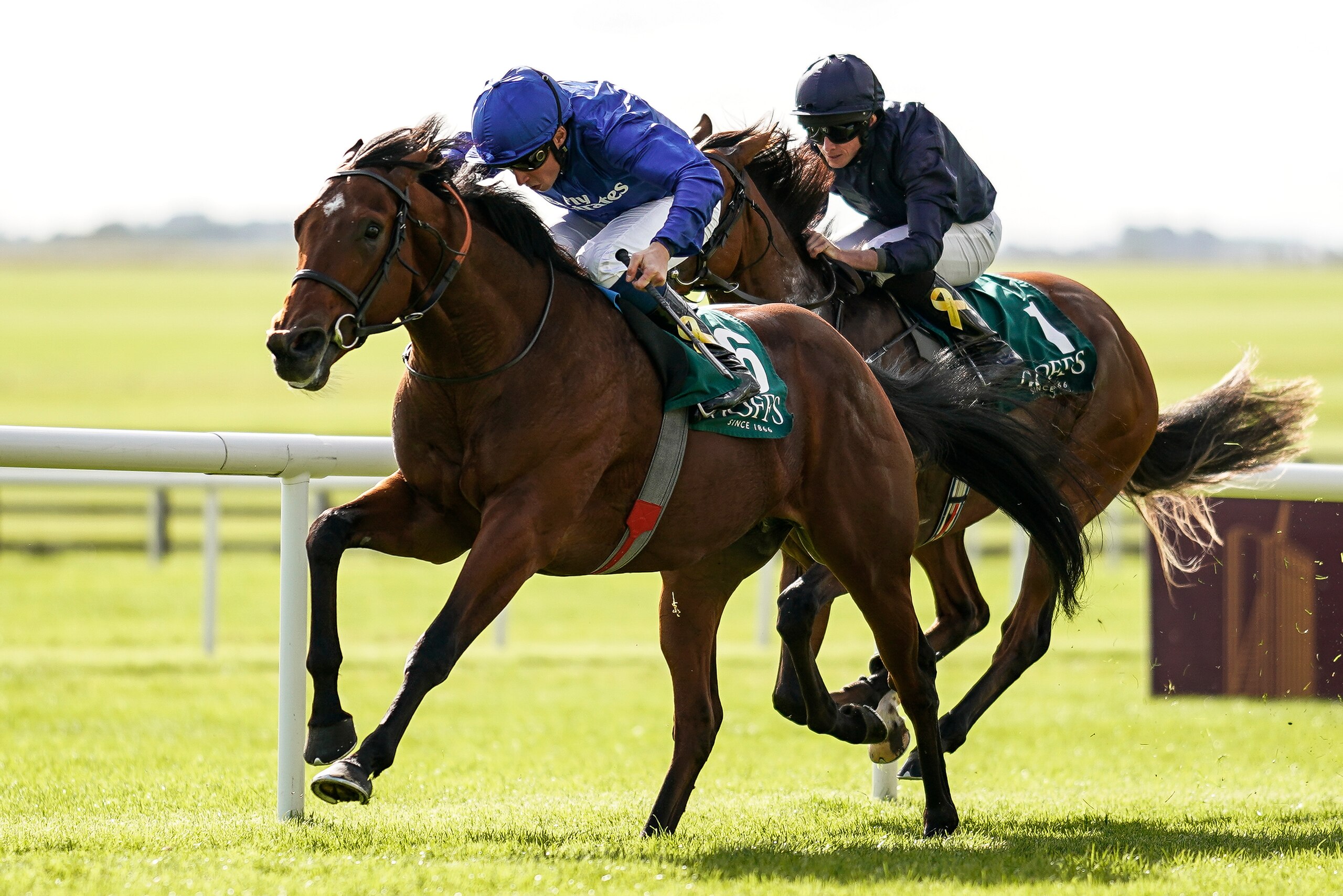 KILDARE, IRELAND - SEPTEMBER 16: William Buick riding Quorto (L) win The Goffs Vincent O'Brien National Stakes from Anthony van Dyck at Curragh Racecourse on September 16, 2018 in Kildare, Ireland. (Photo by Alan Crowhurst/Getty Images)