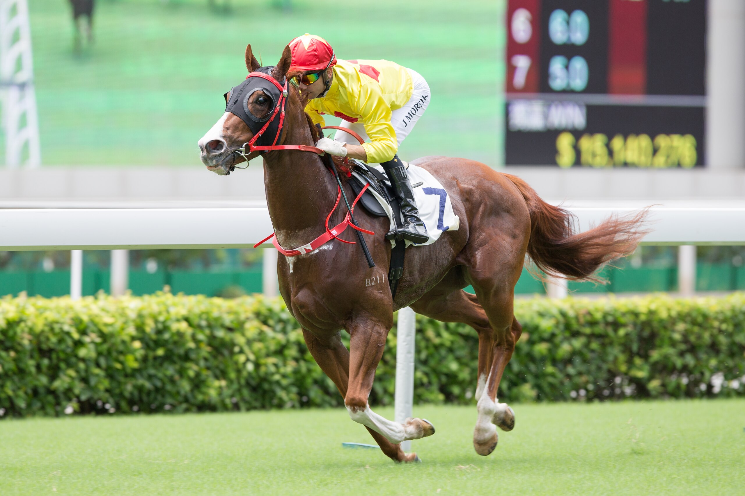 HONG KONG, HONG KONG - JULY 8 : Jockey Joao Moreira riding Speed Vision wins Race 1 Yung Shue O Plate at Sha Tin racecourse on July 8, 2018 in Hong Kong.  (Photo by Lo Chun Kit/Getty Images)