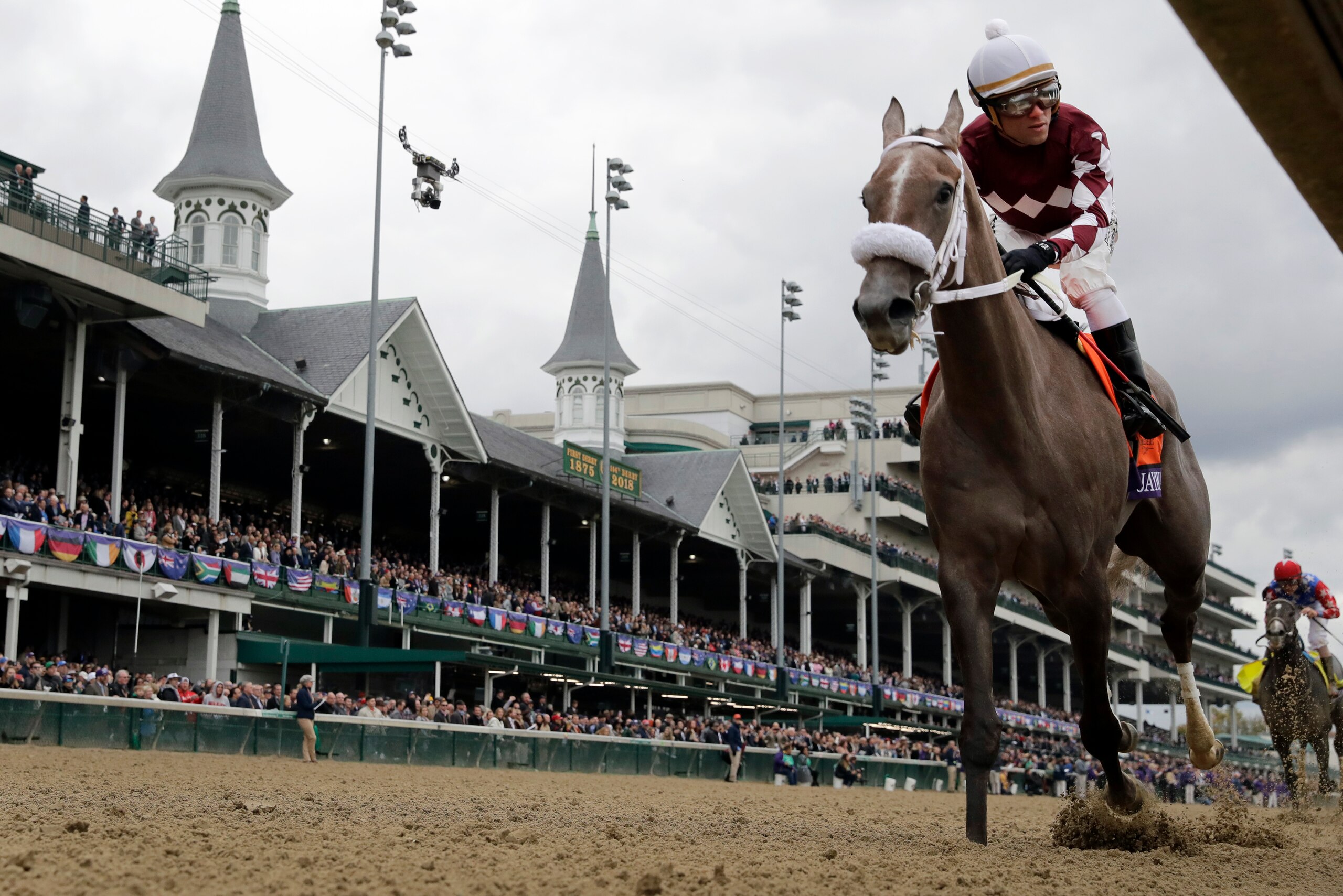 Jaywalk earned a victory in the Breeders' Cup.