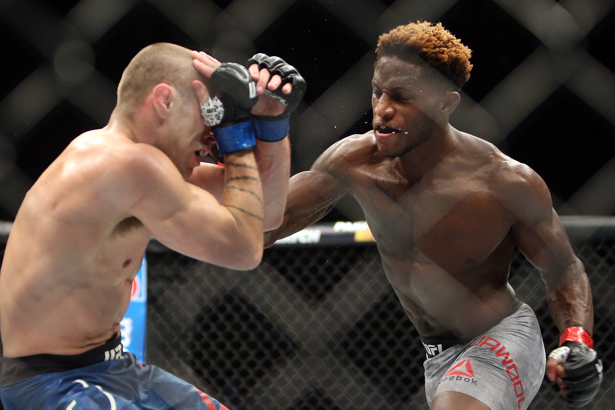 TORONTO, ON - DECEMBER 8:  Hakeem Dawodu (R) of Canada fights against Kyle Bochniak of the United States in a featherweight bout during the UFC 231 event at Scotiabank Arena on December 8, 2018 in Toronto, Canada.  (Photo by Vaughn Ridley/Getty Images)