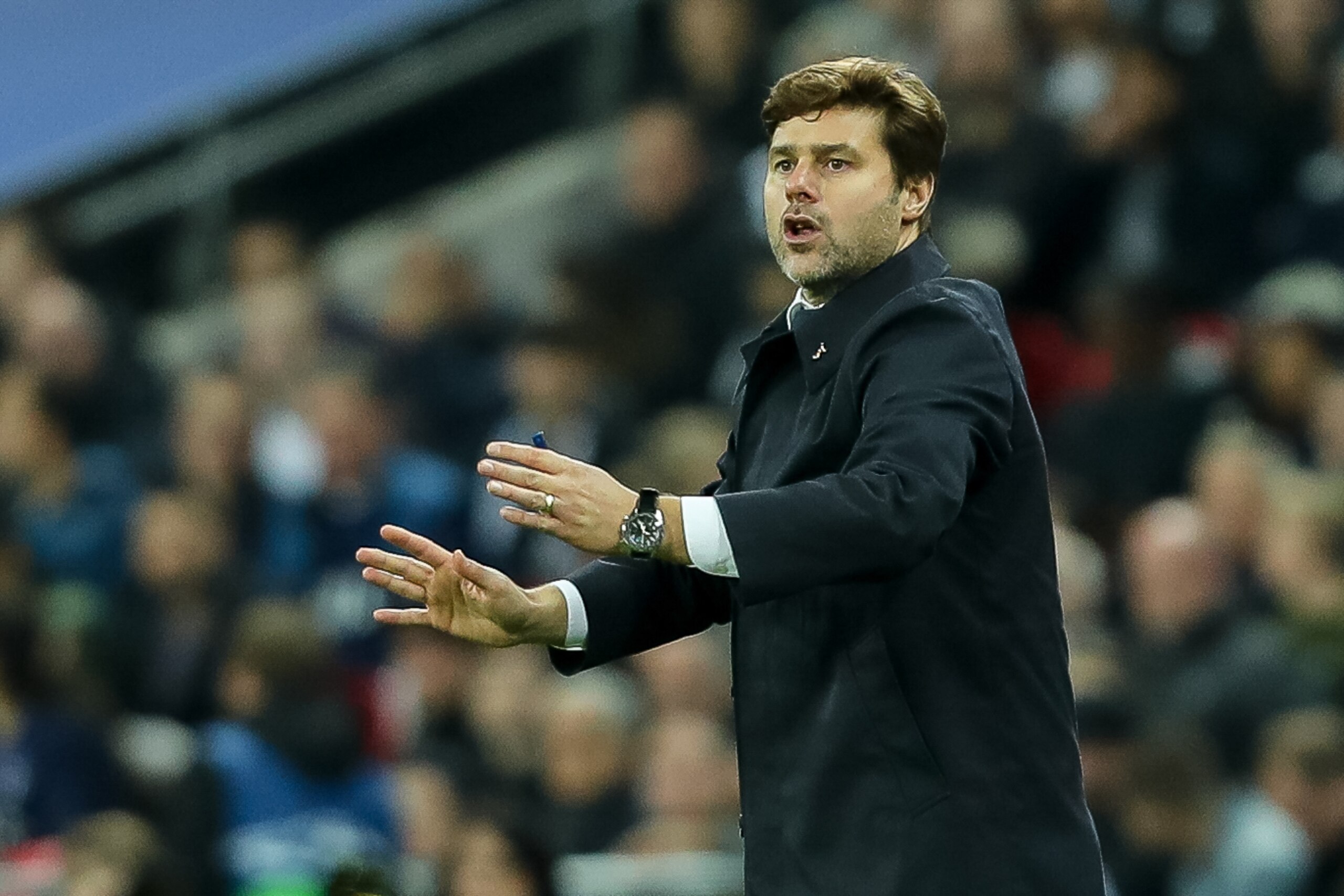 LONDON, ENGLAND - NOVEMBER 01: head coach Mauricio Pochettino of Tottenham Hotspur gestures during the UEFA Champions League group H match between Tottenham Hotspur and Real Madrid at Wembley Stadium on November 1, 2017 in London, United Kingdom. (Photo b LONDON, ENGLAND - NOVEMBER 01: head coach Mauricio Pochettino of Tottenham Hotspur gestures during the UEFA Champions League group H match between Tottenham Hotspur and Real Madrid at Wembley Stadium on November 1, 2017 in London, United Kingdom. (Photo b
