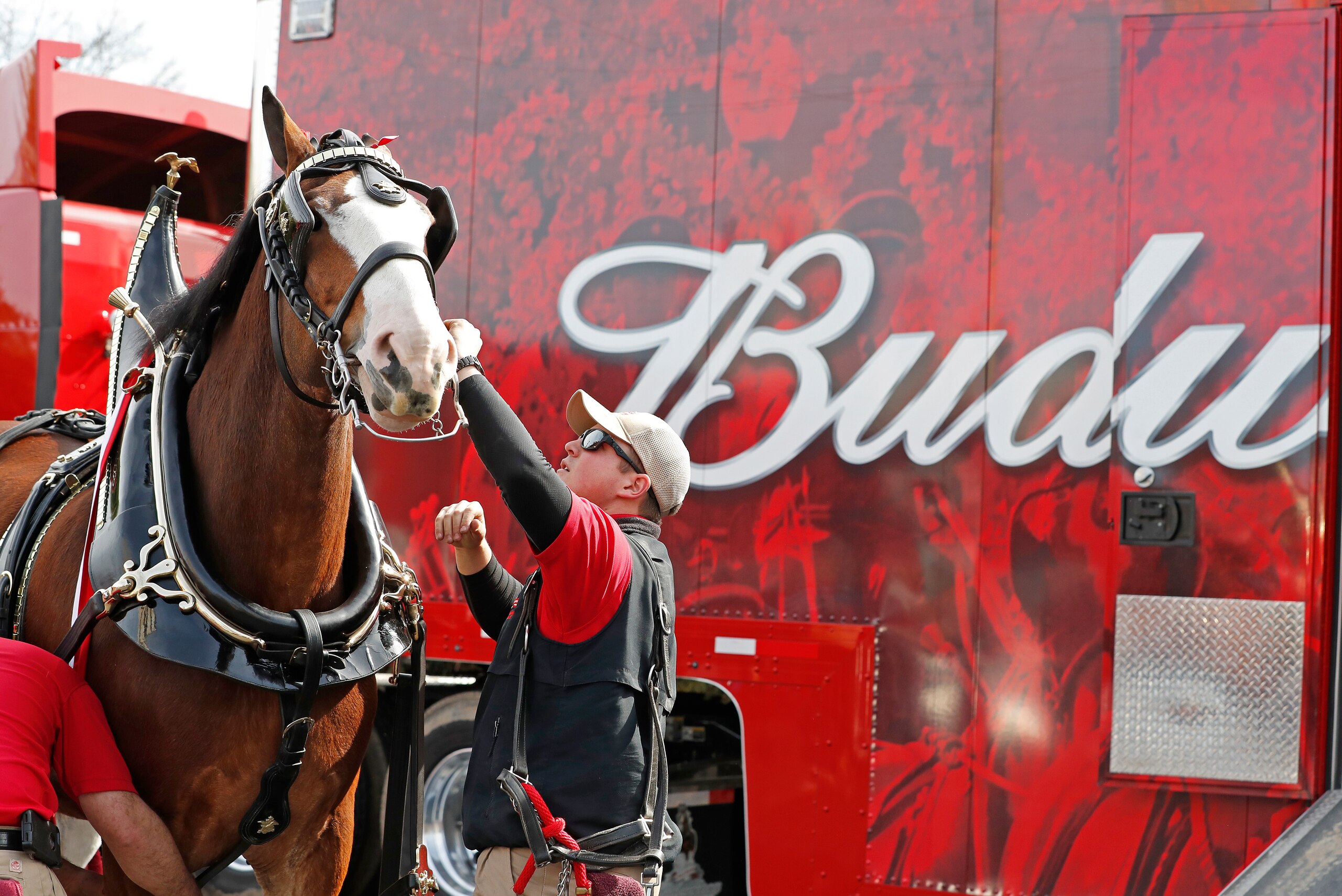 Budweiser and the Clydesdales will be featured in the Super Bowl advertising lineup.
