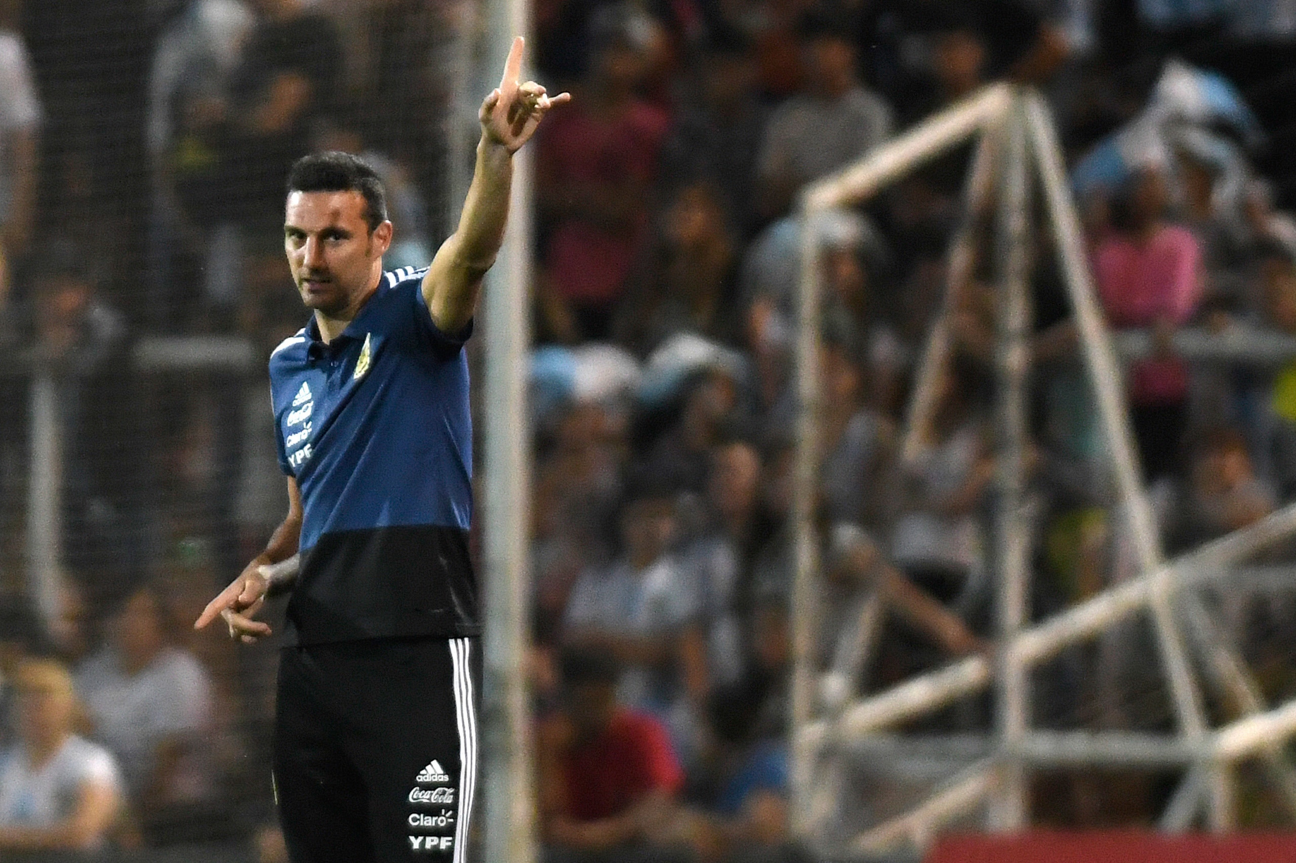 Argentina's coach Lionel Scaloni gestures during the friendly football match against Mexico at the Malvinas Argentinas stadium in Mendoza, Argentina, on November 20, 2018. (Photo by Andres Larrovere / AFP)        (Photo credit should read ANDRES LARROVERE