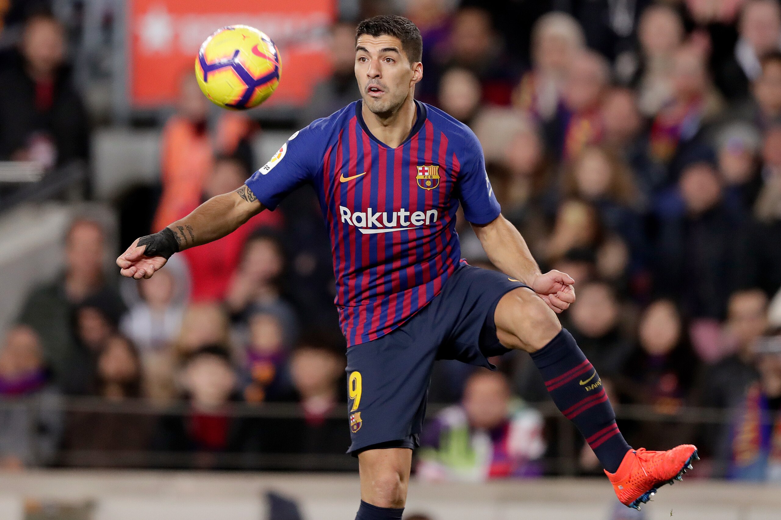 BARCELONA, SPAIN - FEBRUARY 2: Luis Suarez of FC Barcelona  during the La Liga Santander  match between FC Barcelona v Valencia at the Camp Nou on February 2, 2019 in Barcelona Spain (Photo by David S. Bustamante/Soccrates/Getty Images)