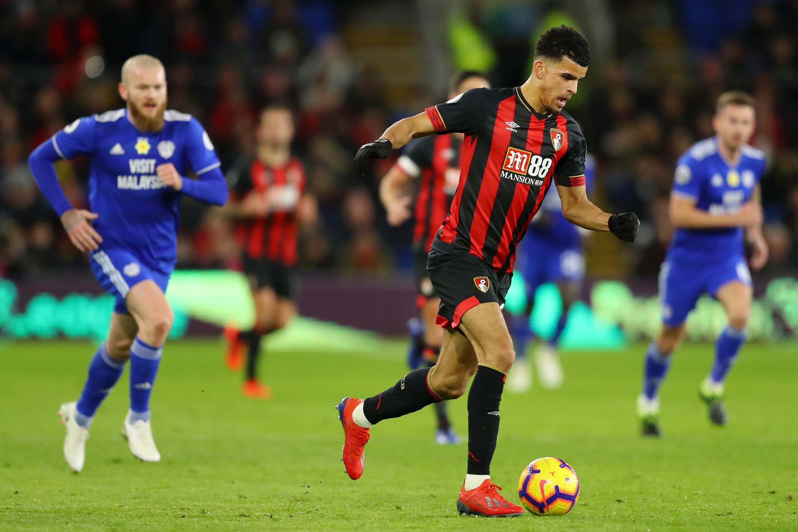 CARDIFF, WALES - FEBRUARY 02:  Dominic Solanke of AFC Bournemouth in action during the Premier League match between Cardiff City and AFC Bournemouth at Cardiff City Stadium on February 2, 2019 in Cardiff, United Kingdom.  (Photo by Warren Little/Getty Ima