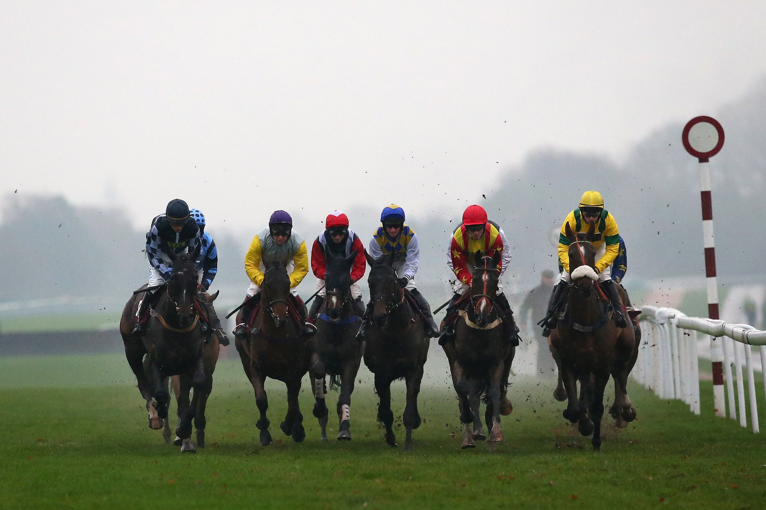 HAYDOCK, ENGLAND - DECEMBER 05:  Horses and riders compete during The Watch Racing Uk Anywhere Maiden Hurdle Race at Haydock Racecourse on December 5, 2018 in Haydock, England.  (Photo by Alex Livesey/Getty Images)