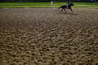 LOUISVILLE, KY - MAY 05:  A horse trains on the track during morning workouts in preparation for the 144th Kentucky Derby at Churchill Downs on May 5, 2018 in Louisville, Kentucky.  (Photo by Michael Reaves/Getty Images)