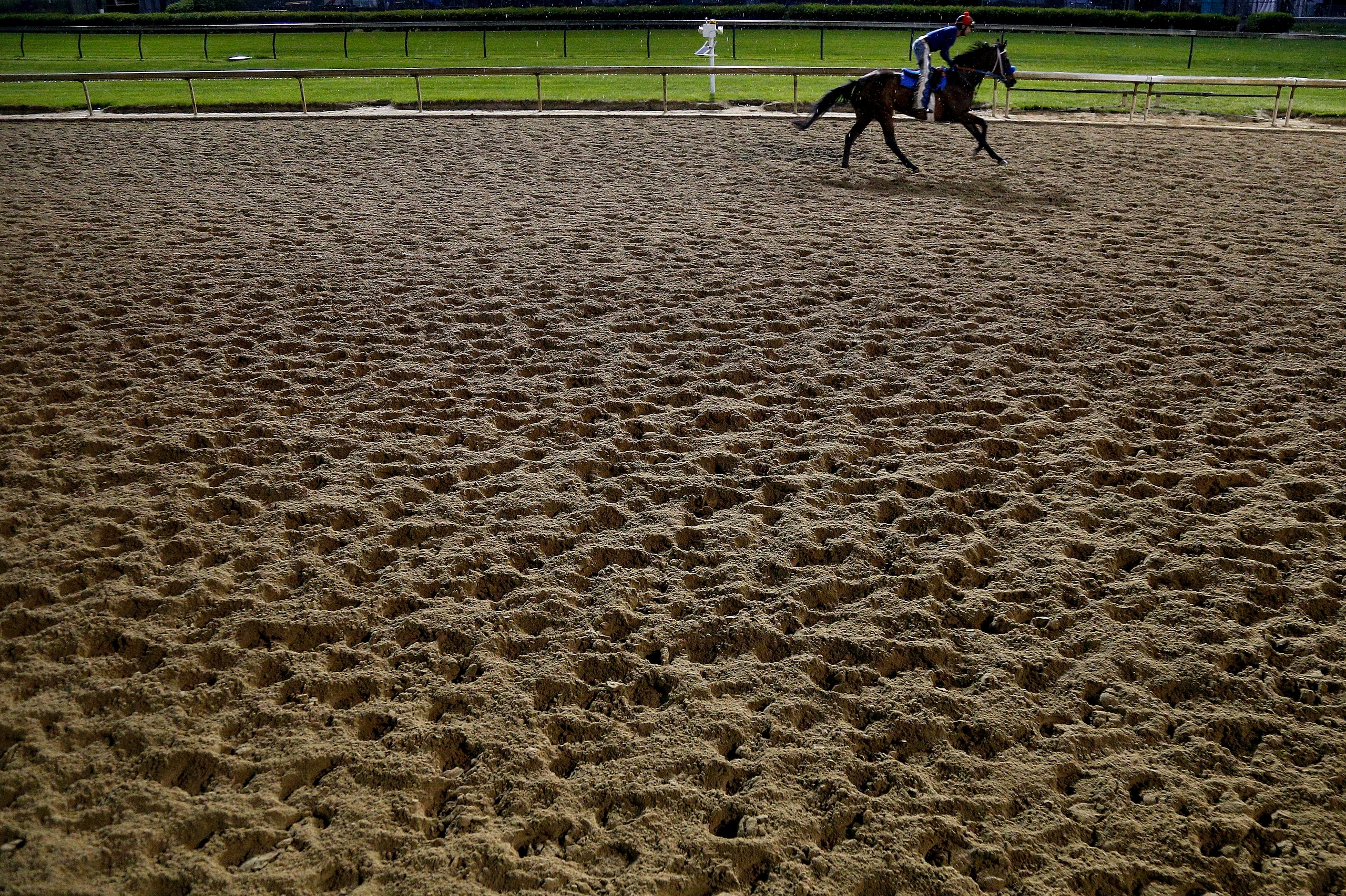 LOUISVILLE, KY - MAY 05:  A horse trains on the track during morning workouts in preparation for the 144th Kentucky Derby at Churchill Downs on May 5, 2018 in Louisville, Kentucky.  (Photo by Michael Reaves/Getty Images)