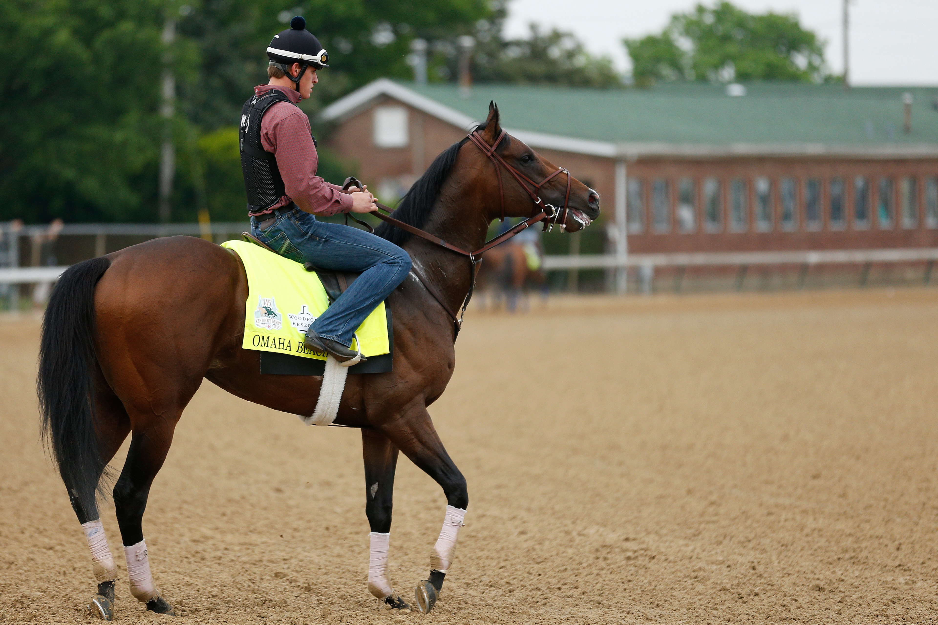 LOUISVILLE, KENTUCKY - APRIL 30: Omaha Beach is seen on the track during morning workouts in preparation for the 145th running of the Kentucky Derby at Churchill Downs on April 30, 2019 in Louisville, Kentucky. (Photo by Michael Reaves/Getty Images)