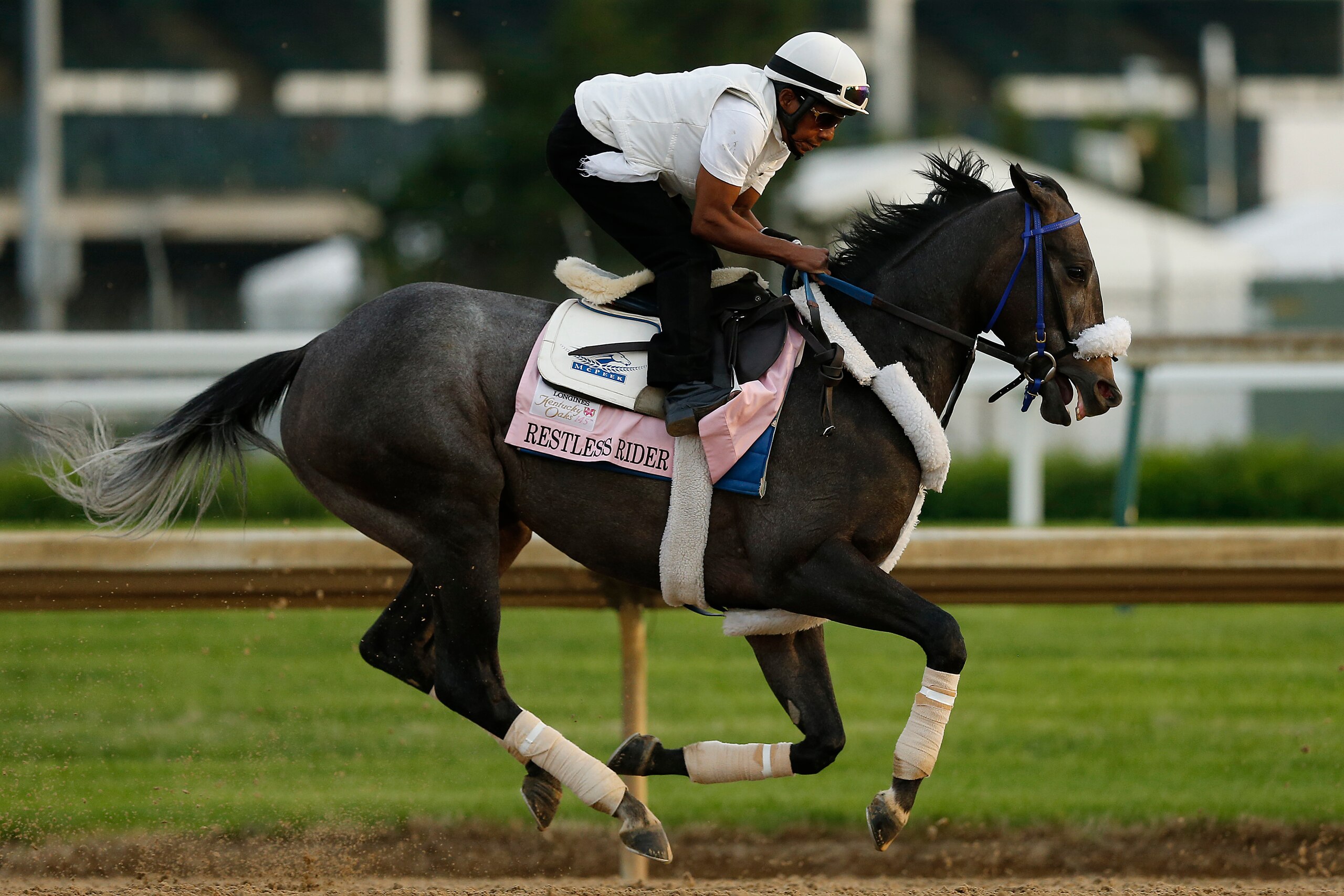 LOUISVILLE, KENTUCKY - MAY 01:  Restless Rider trains on the track during morning workouts in preparation for the 145th running of the Kentucky Derby at Churchill Downs on May 1, 2019 in Louisville, Kentucky. (Photo by Michael Reaves/Getty Images)