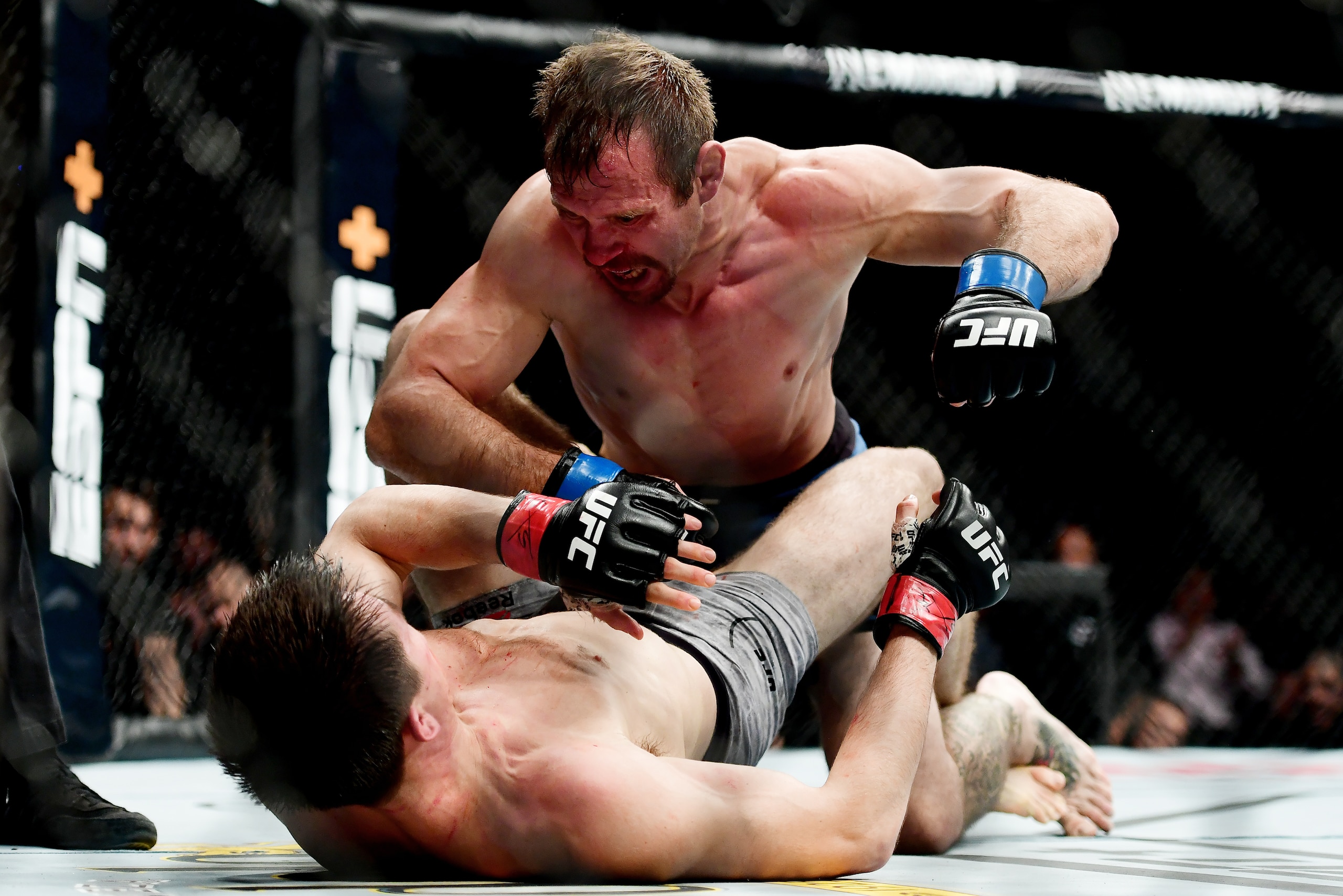 NEW YORK, NEW YORK - JANUARY 19: Donald 'Cowboy' Cerrone fights against Alex Hernandez during their lightweight fight at UFC Fight Night at Barclays Center on January 19, 2019 in New York City. (Photo by Sarah Stier/Getty Images)