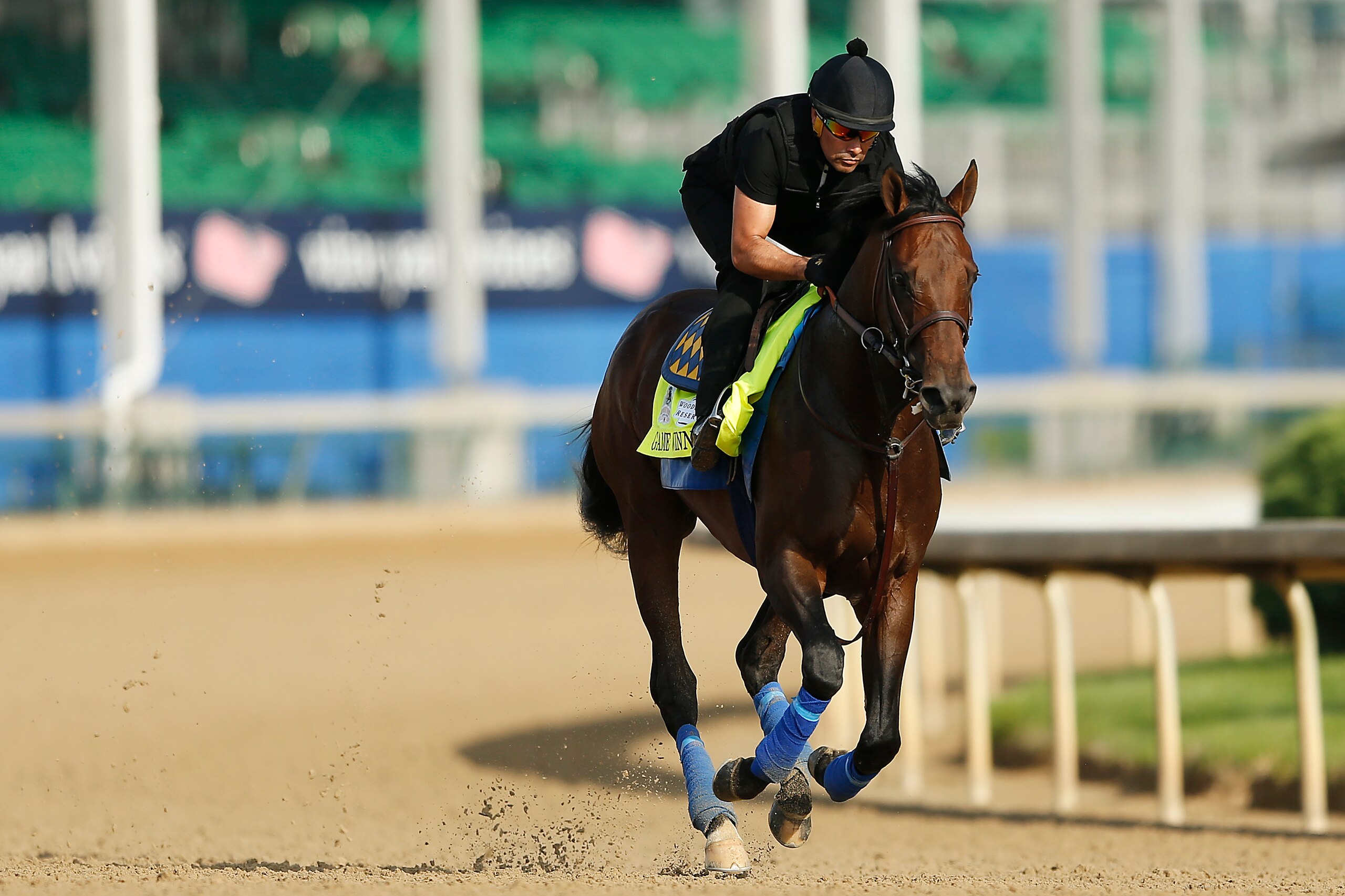 LOUISVILLE, KENTUCKY - MAY 02: Game Winner trains on the track during morning workouts in preparation for the 145th running of the Kentucky Derby at Churchill Downs on May 2, 2019 in Louisville, Kentucky. (Photo by Michael Reaves/Getty Images)