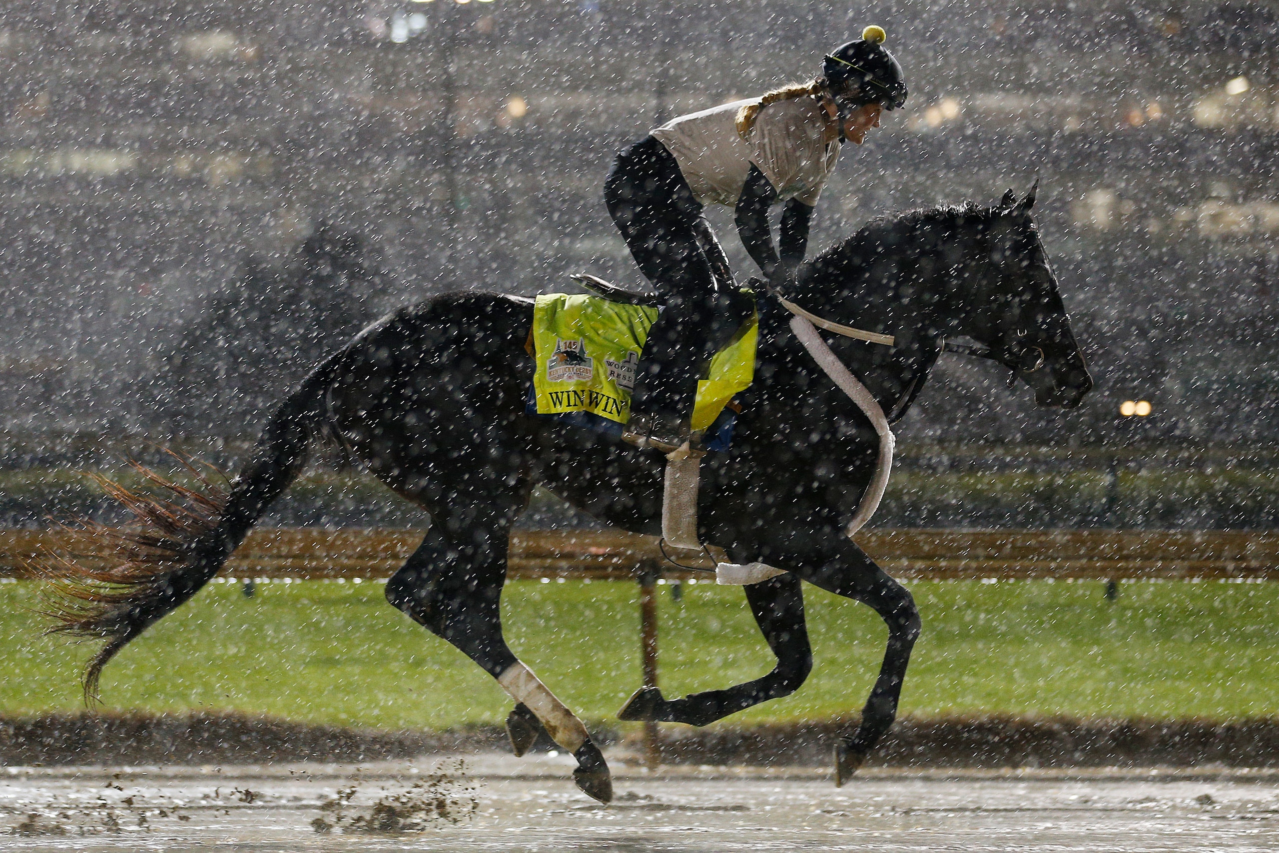 LOUISVILLE, KENTUCKY - MAY 03:  Win Win Win trains on the track during morning workouts in preparation for the 145th running of the Kentucky Derby at Churchill Downs on May 3, 2019 in Louisville, Kentucky. (Photo by Michael Reaves/Getty Images)